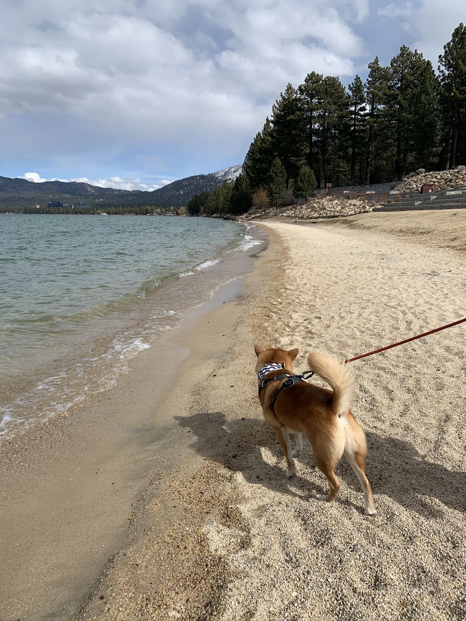 Markus checking out the view of Lake Tahoe by the Lakeview Commons