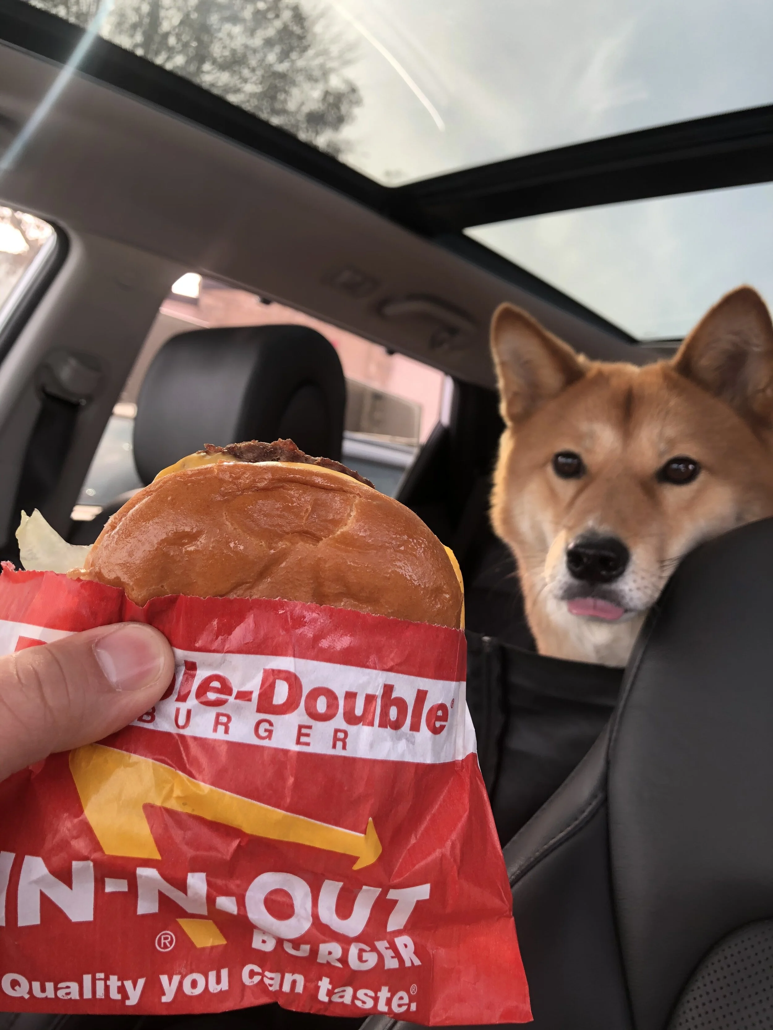 Markus eyeing one last In-N-Out on the way home since we don’t have those in Canada!