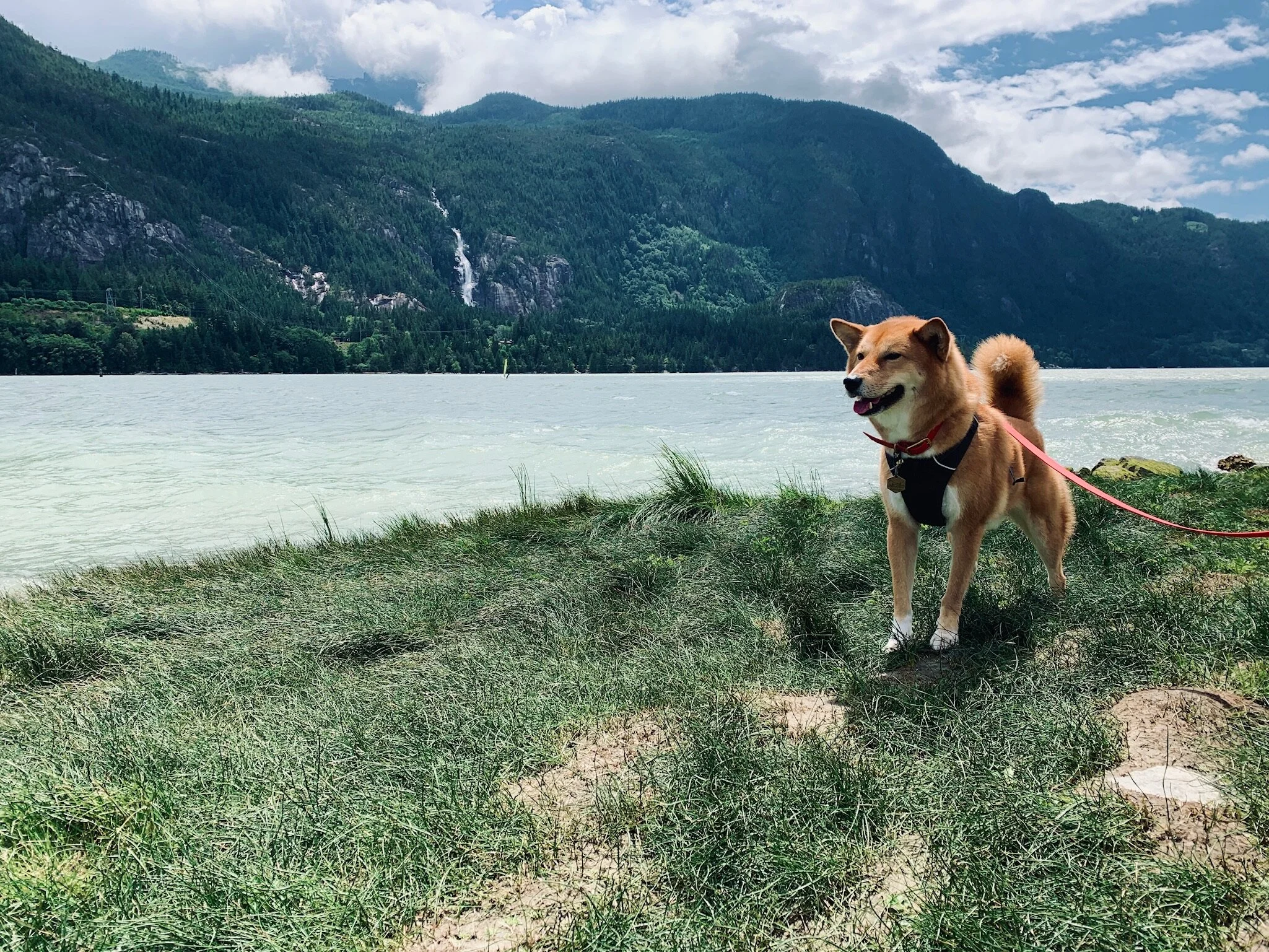 Markus standing in front of Shannon Falls from a distance at Newport Beach