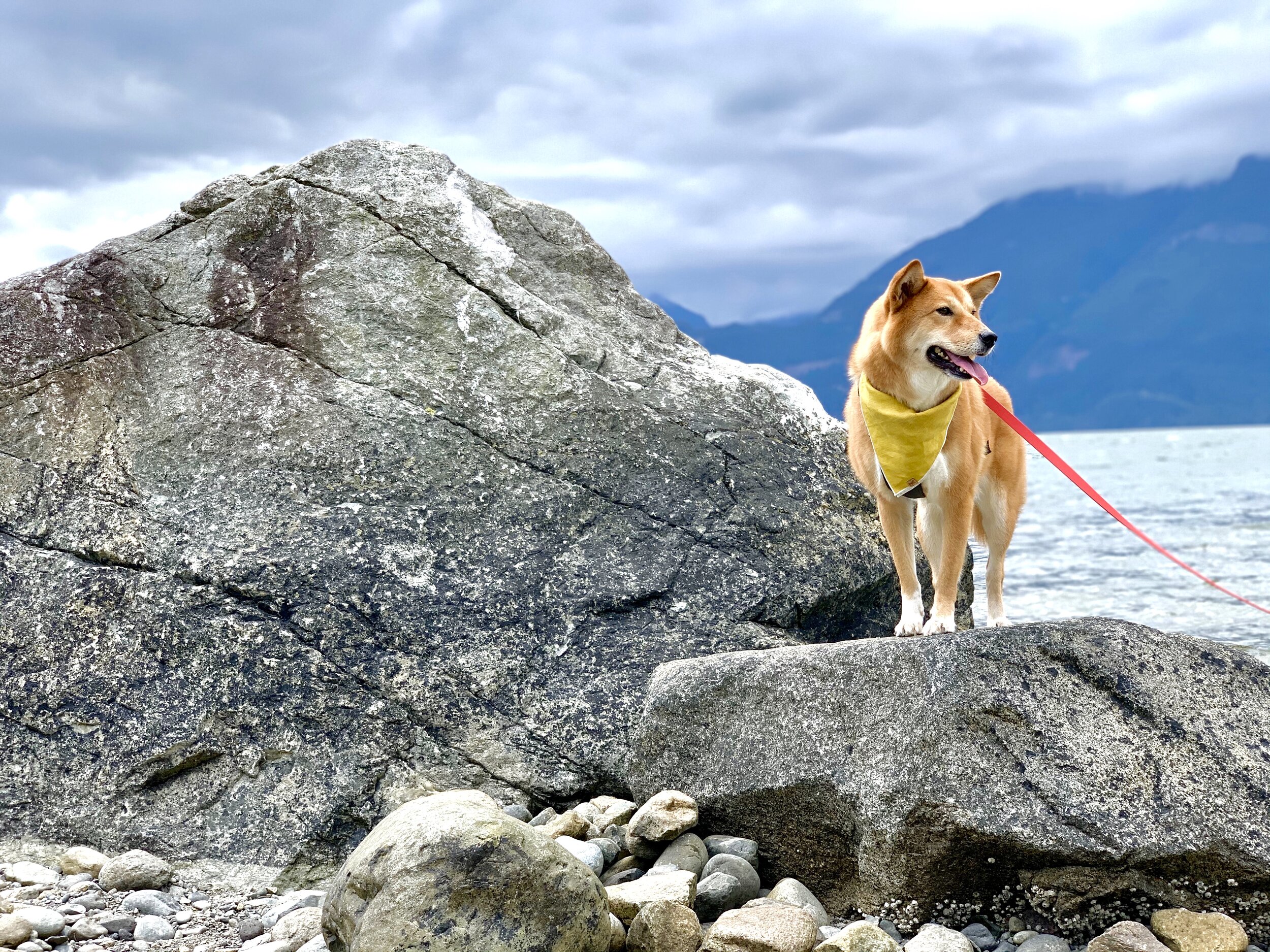 Markus posing on top of a rock on the beach at Porteau Cove