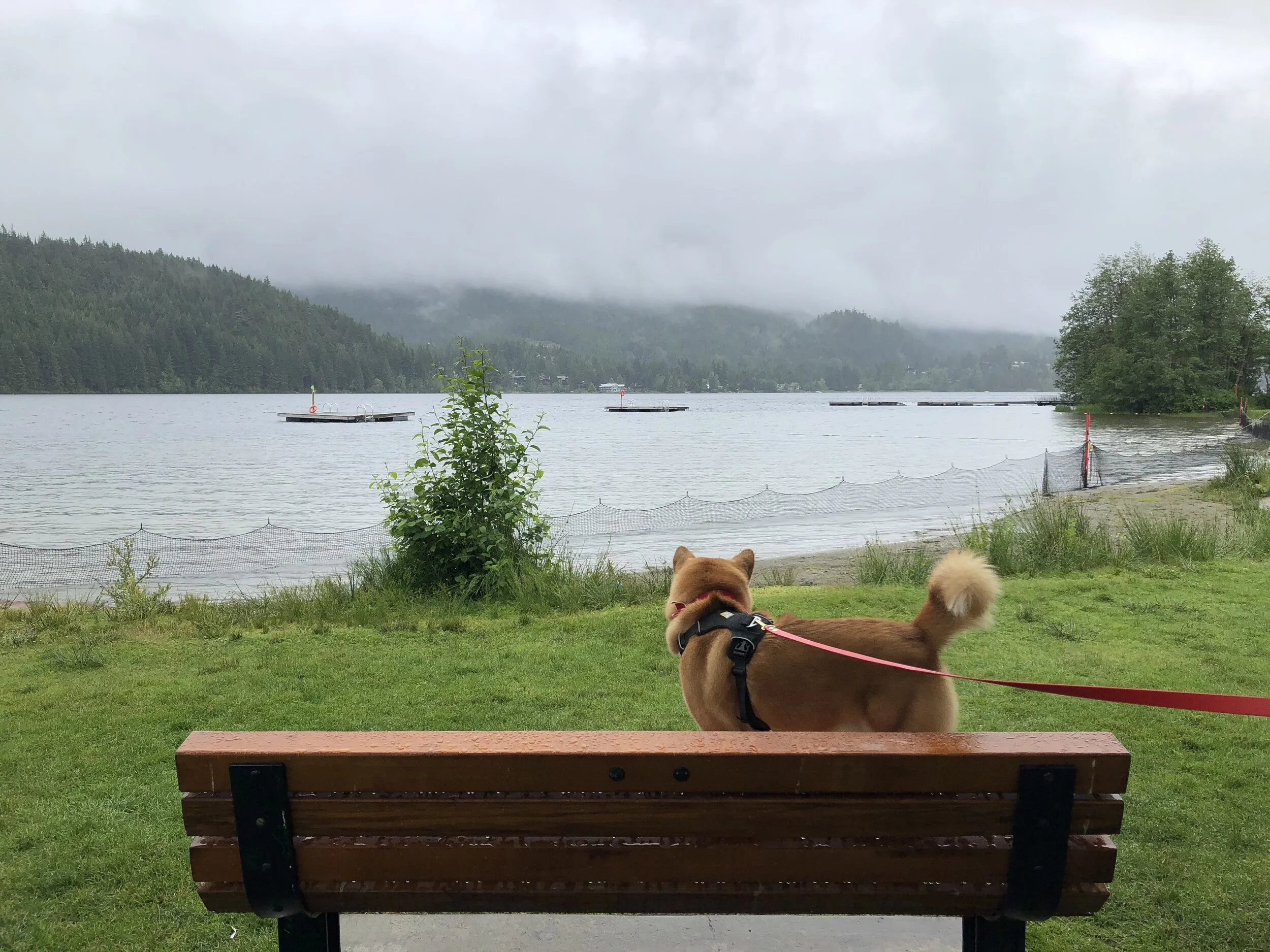 Markus on a bench on a rainy day at Rainbow Park