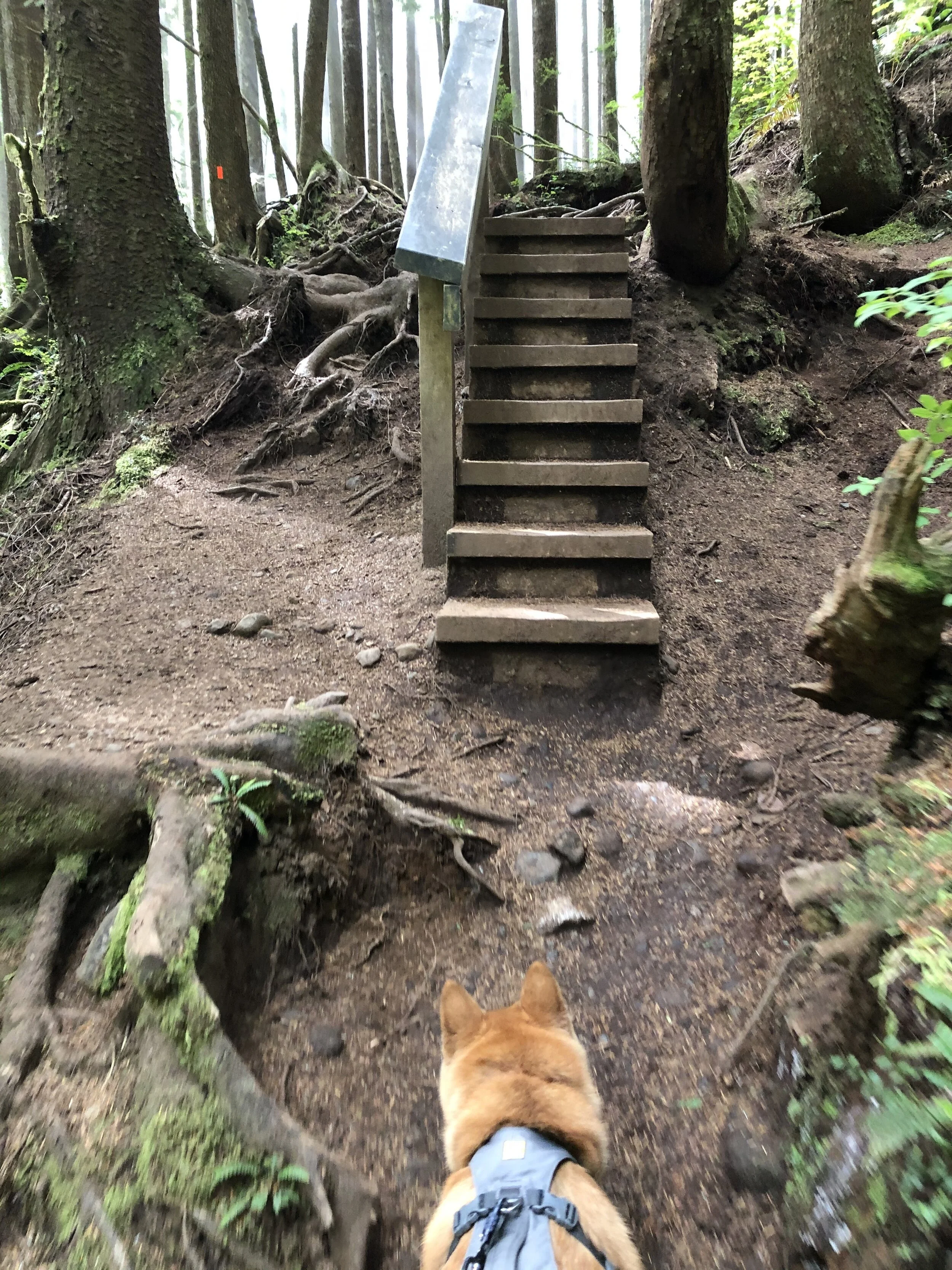 Markus looking up toward the steps along the trail at Mystic Beach
