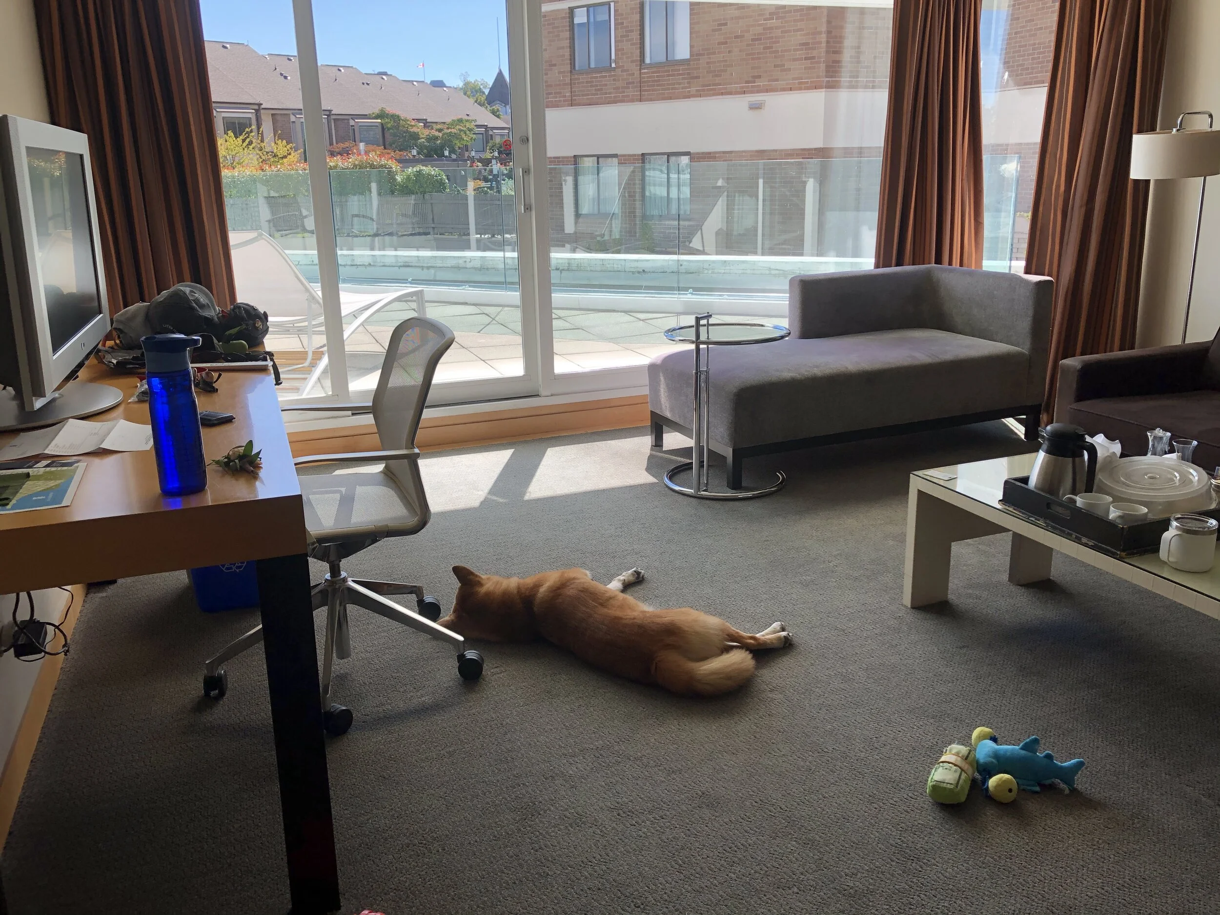 Markus passed out in the living room at the Inn at Laurel Point