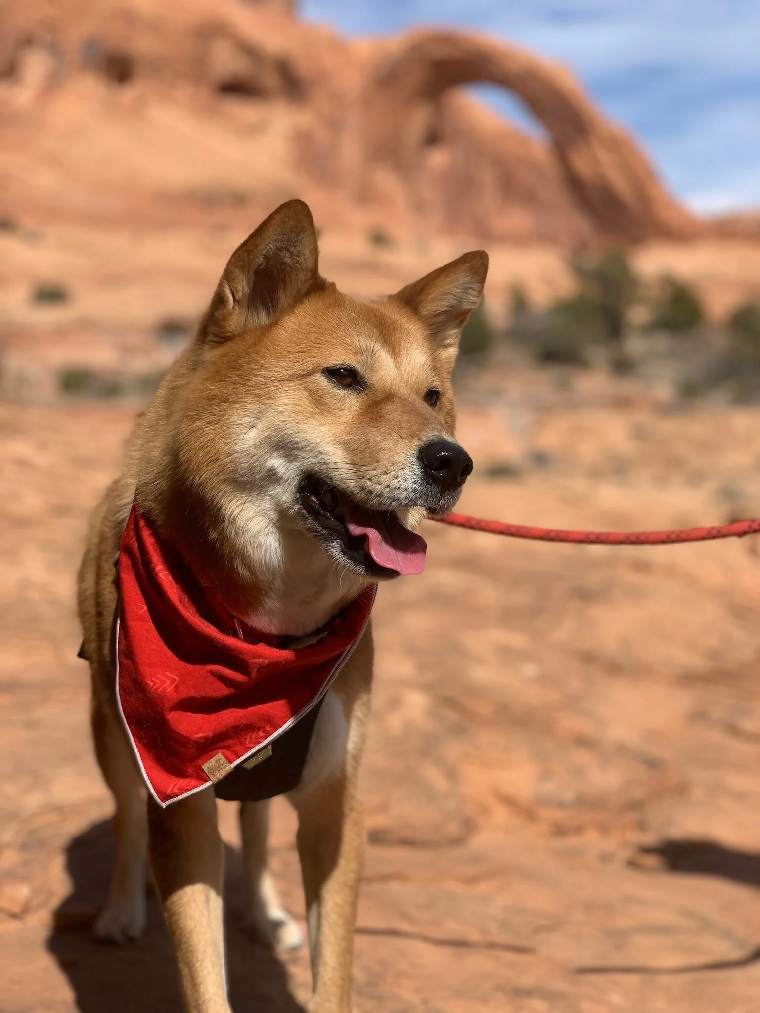 Markus at the end of a hike to the Corona Arch in Utah