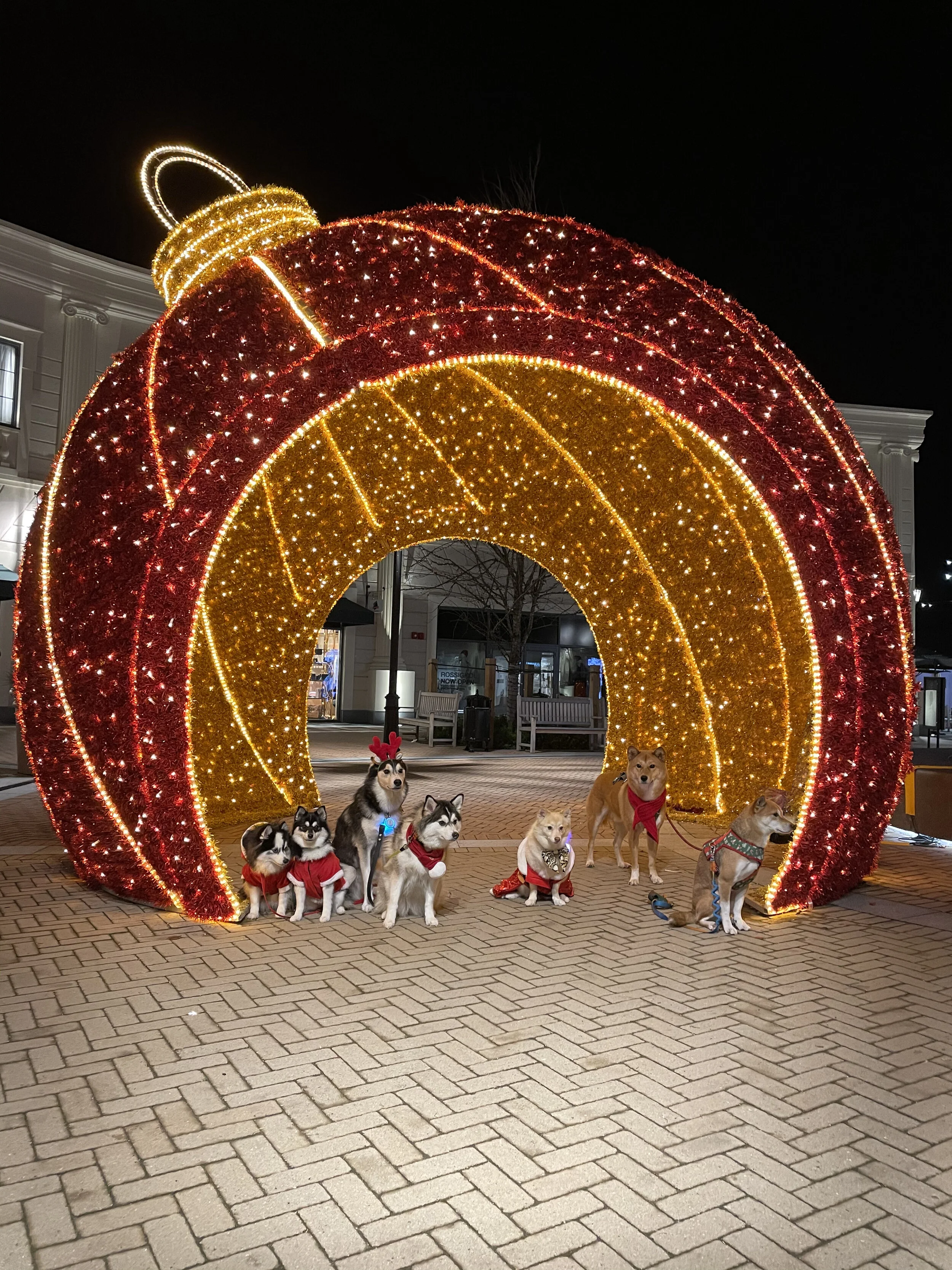 Markus and friends trying to get in line inside a giant Christmas ornament