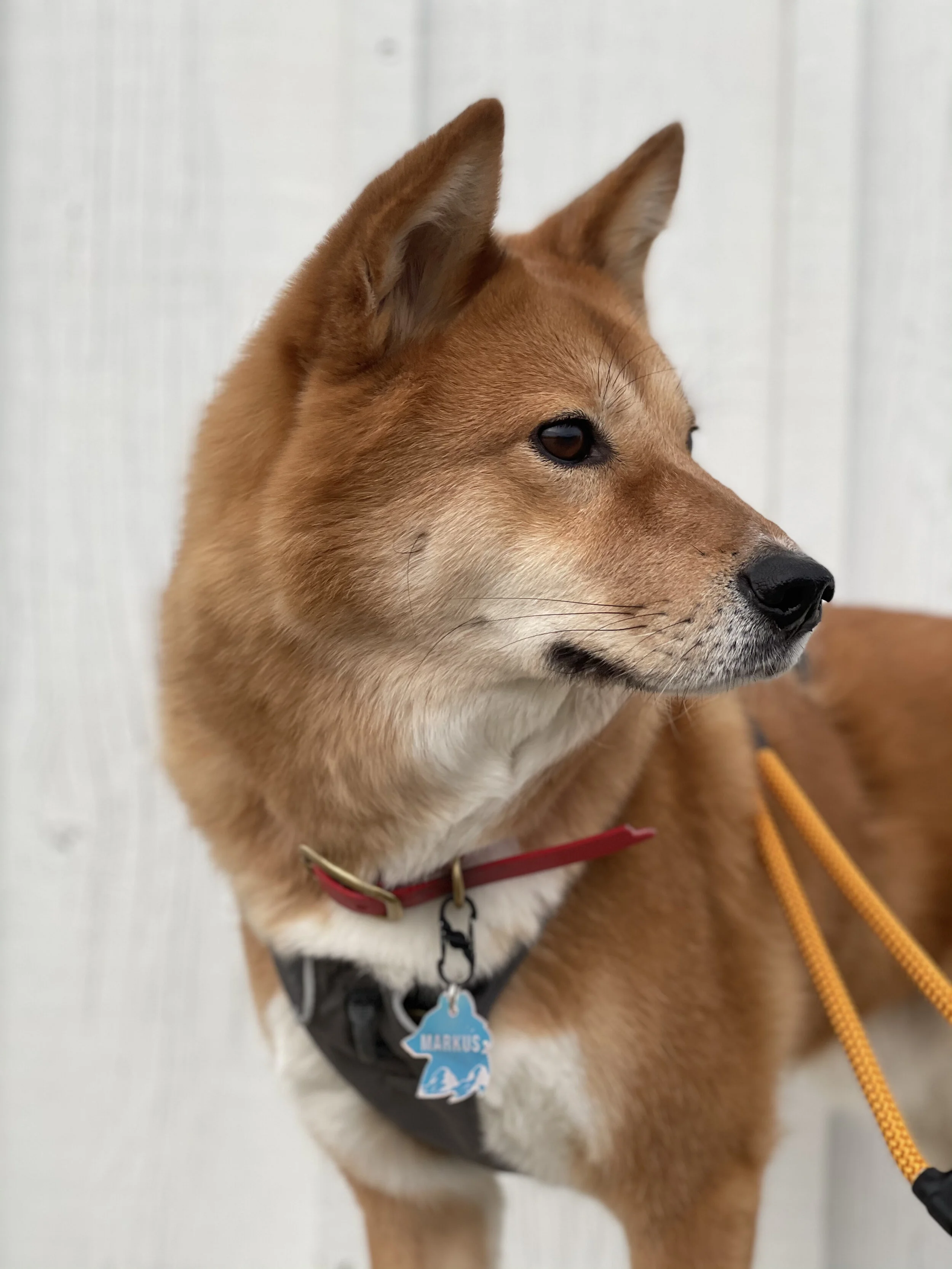 Markus standing just outside the walls of the Chinese Bunkhouse