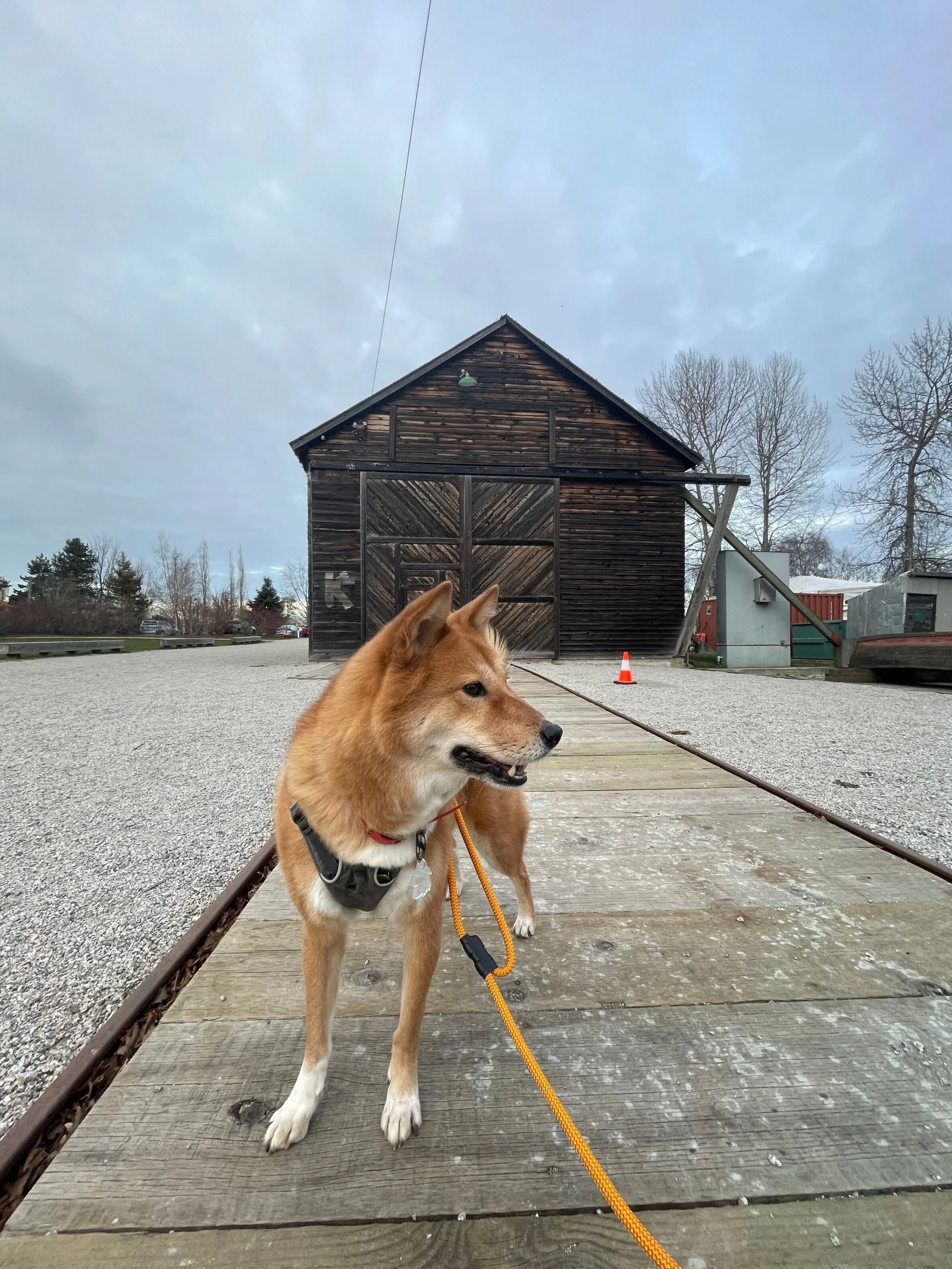 Markus standing on the tracks of one of the shipyards