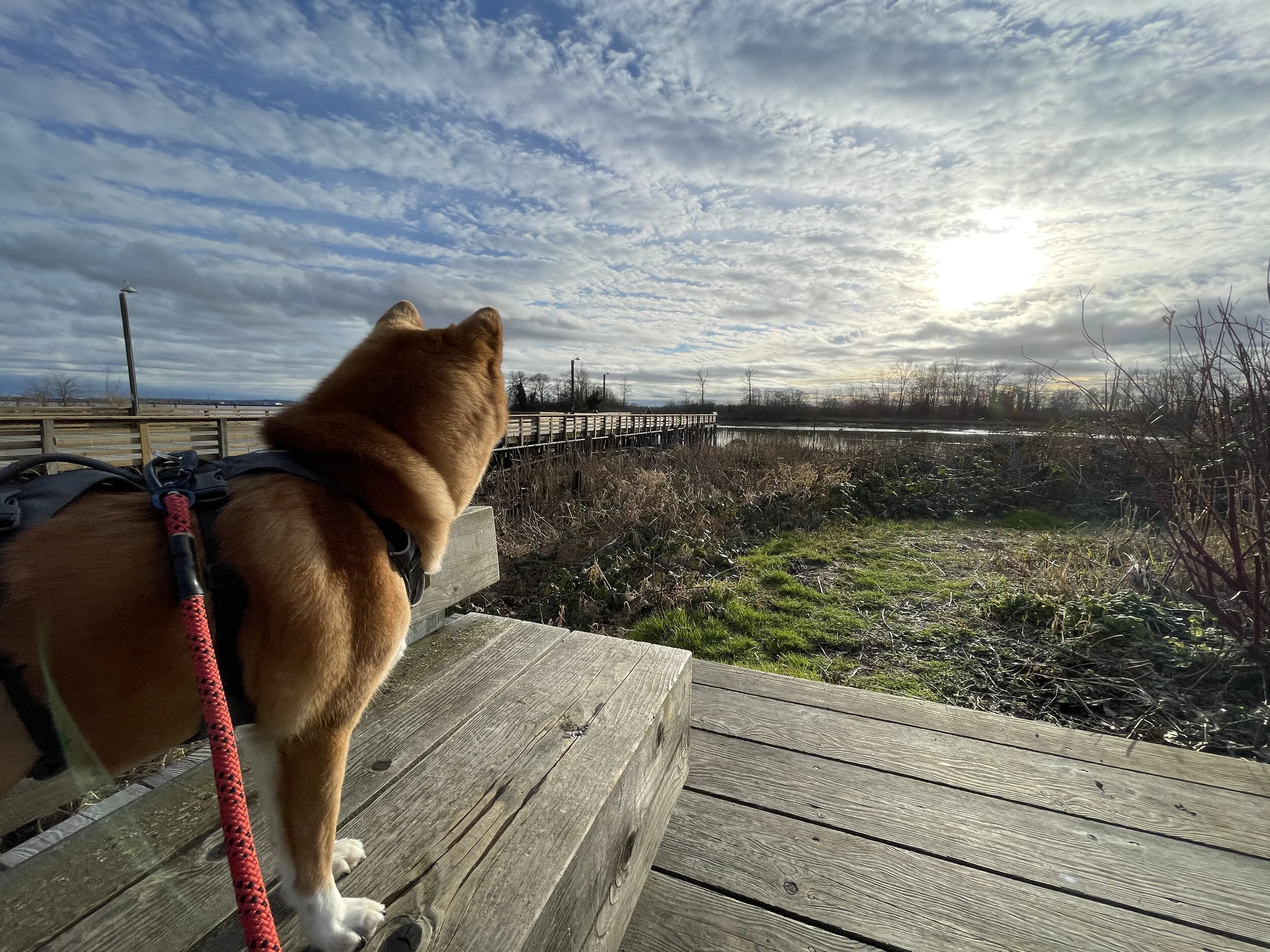 Markus looking out into the sunset by London Landing