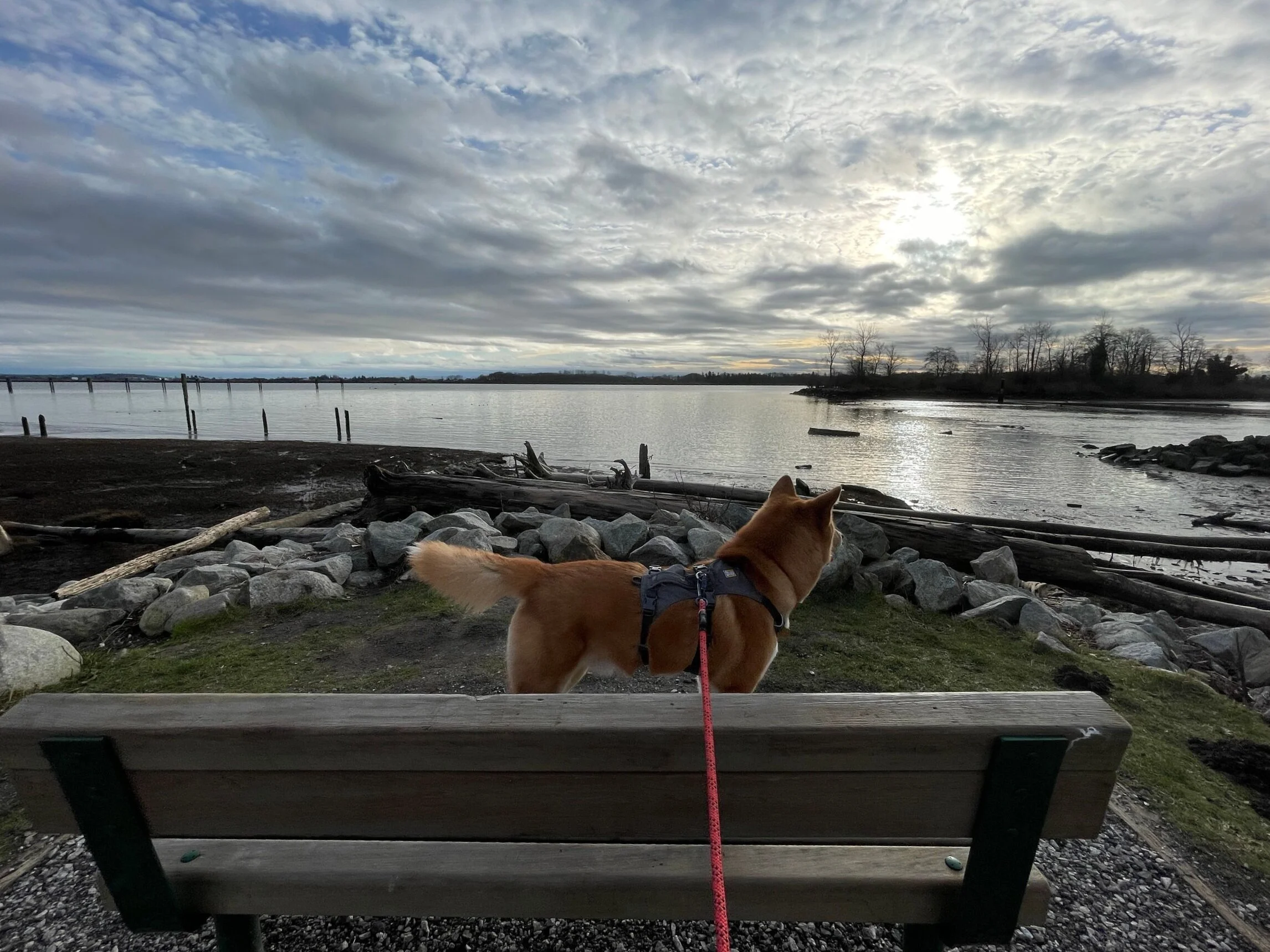 Markus resting at one of the benches along the Steveston walk