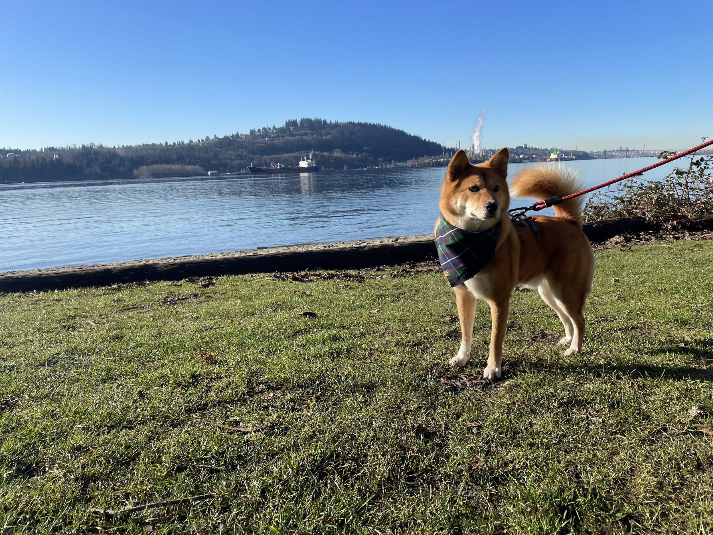 Markus standing by the beach area of Cates Park