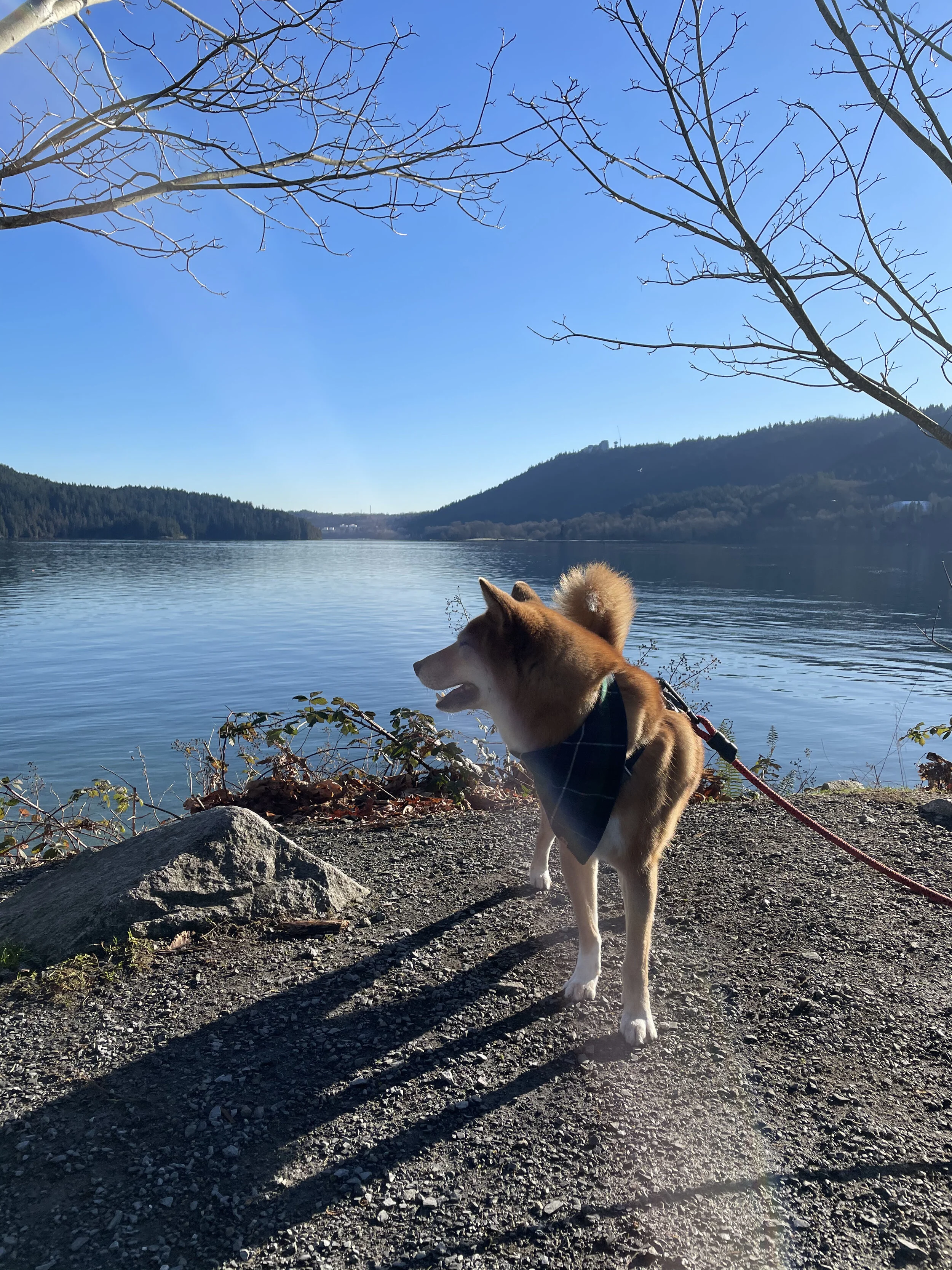 Markus looking back at the view from Cates Park