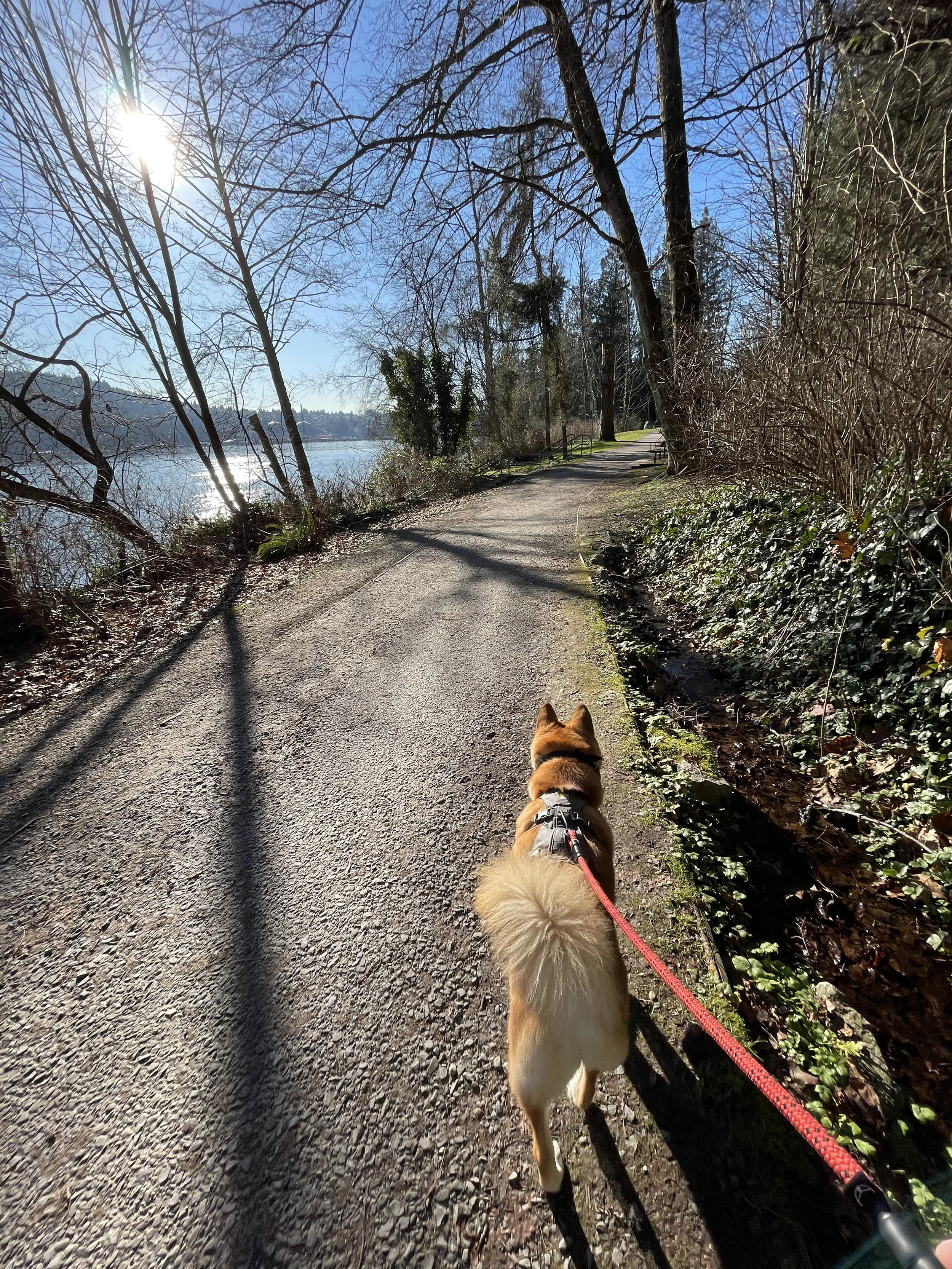 Markus walking along the Malcolm-Lowry Trail by Cates Park