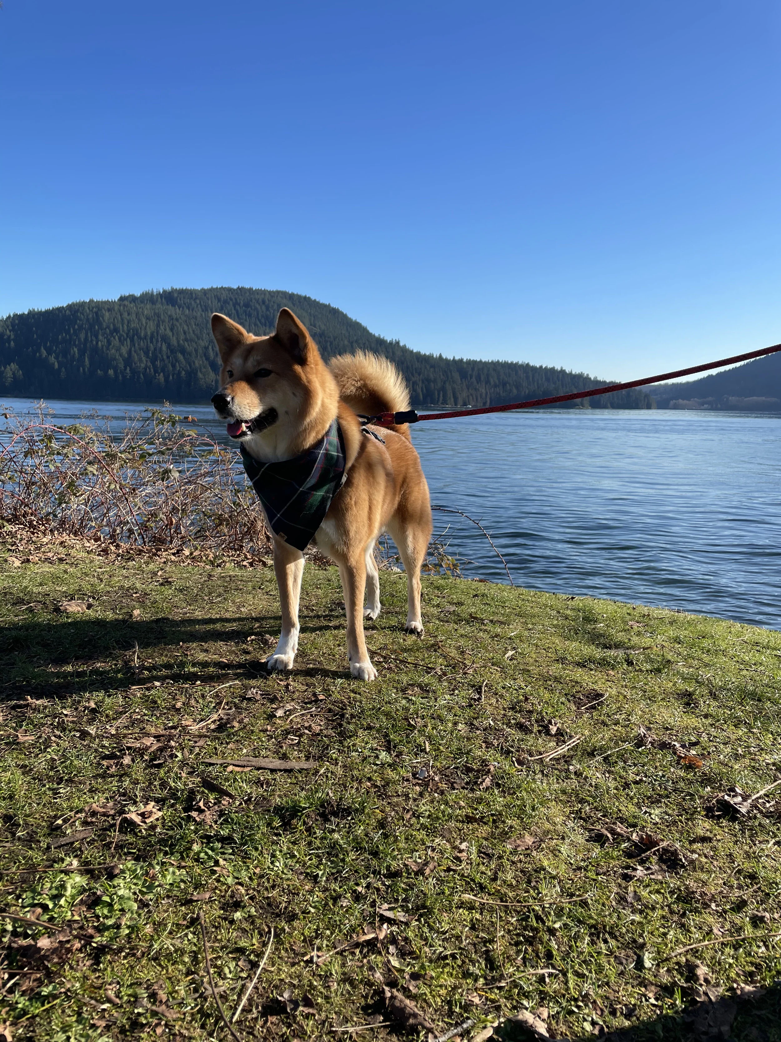 Markus thinks he’s part of the view at Little Cates Park