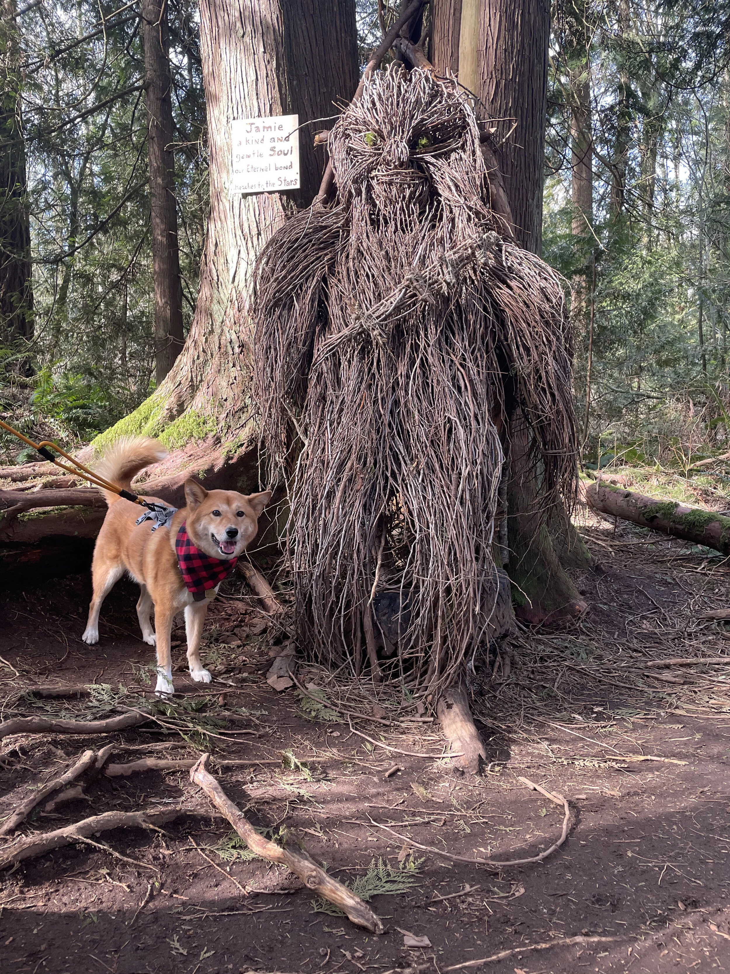 Markus getting to meet one of his fur heroes Chewbacca
