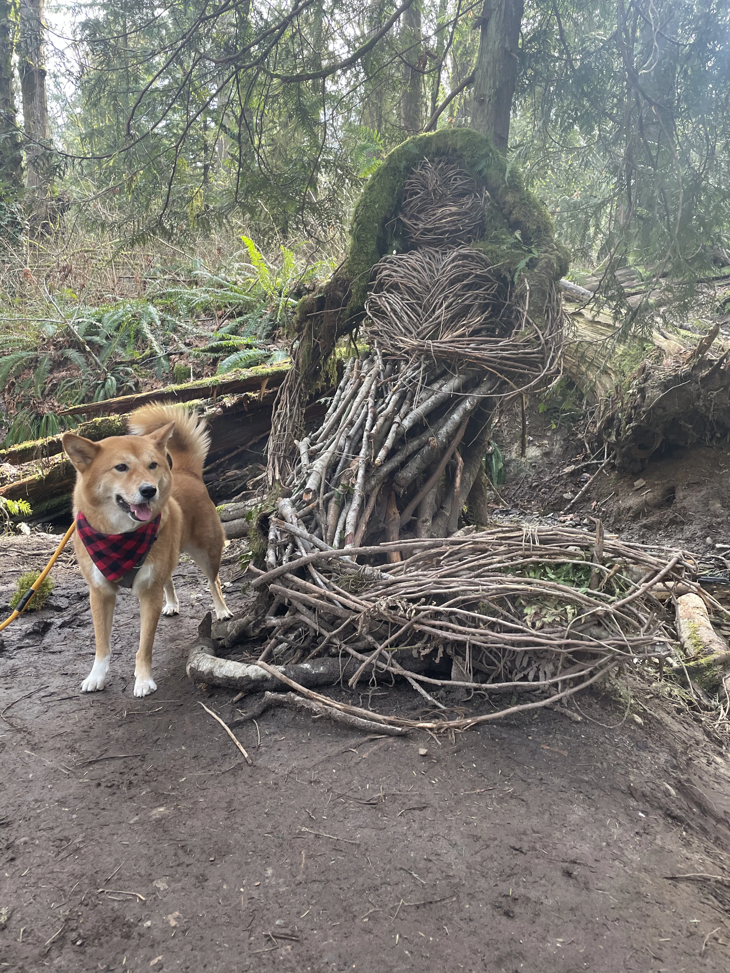 Markus isn’t usually a fan of water, but he’s okay with the Forest Water Spirit (Mermaid)