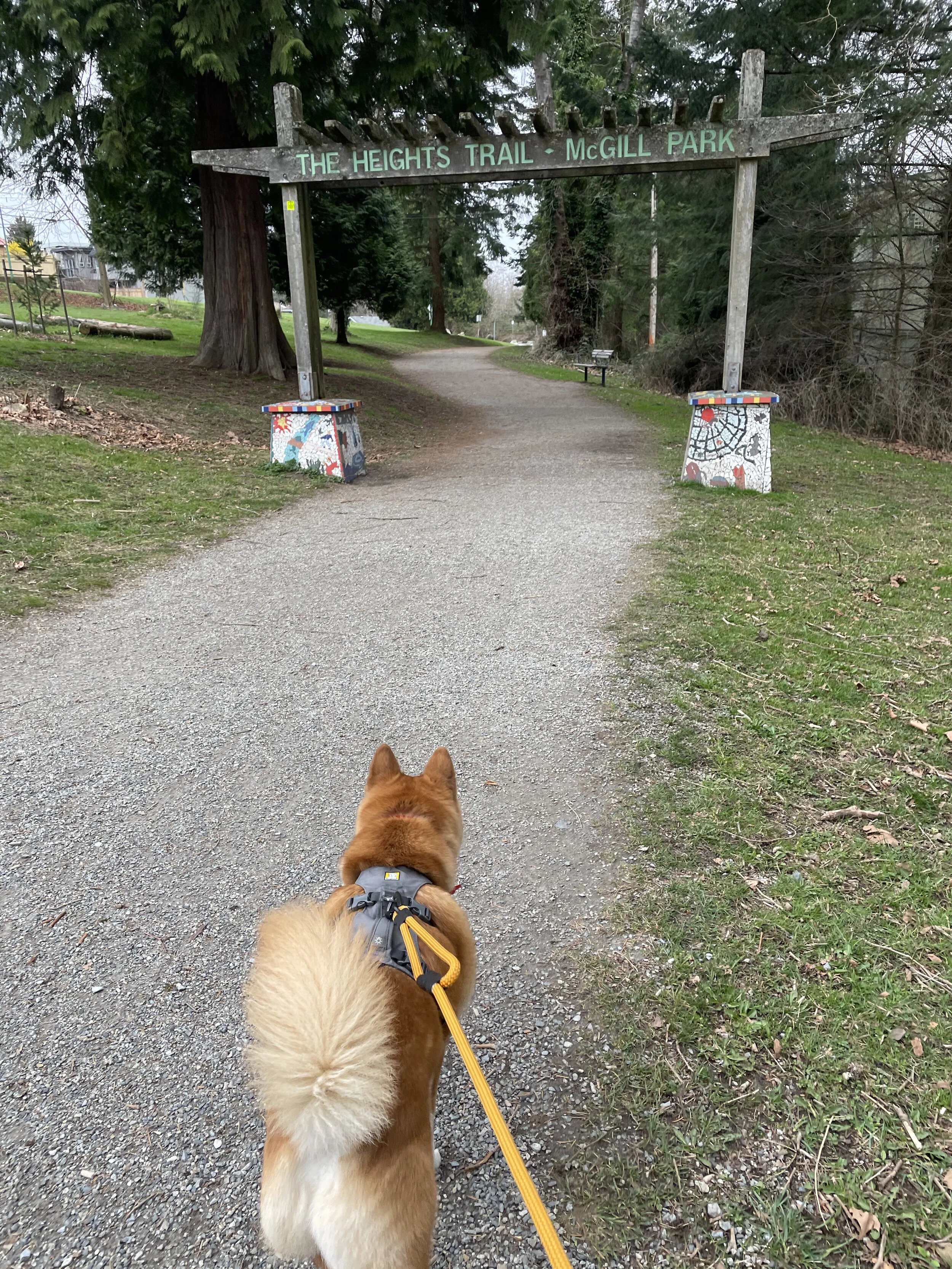 Markus walking along the Trans Canada Trail at Montrose Park