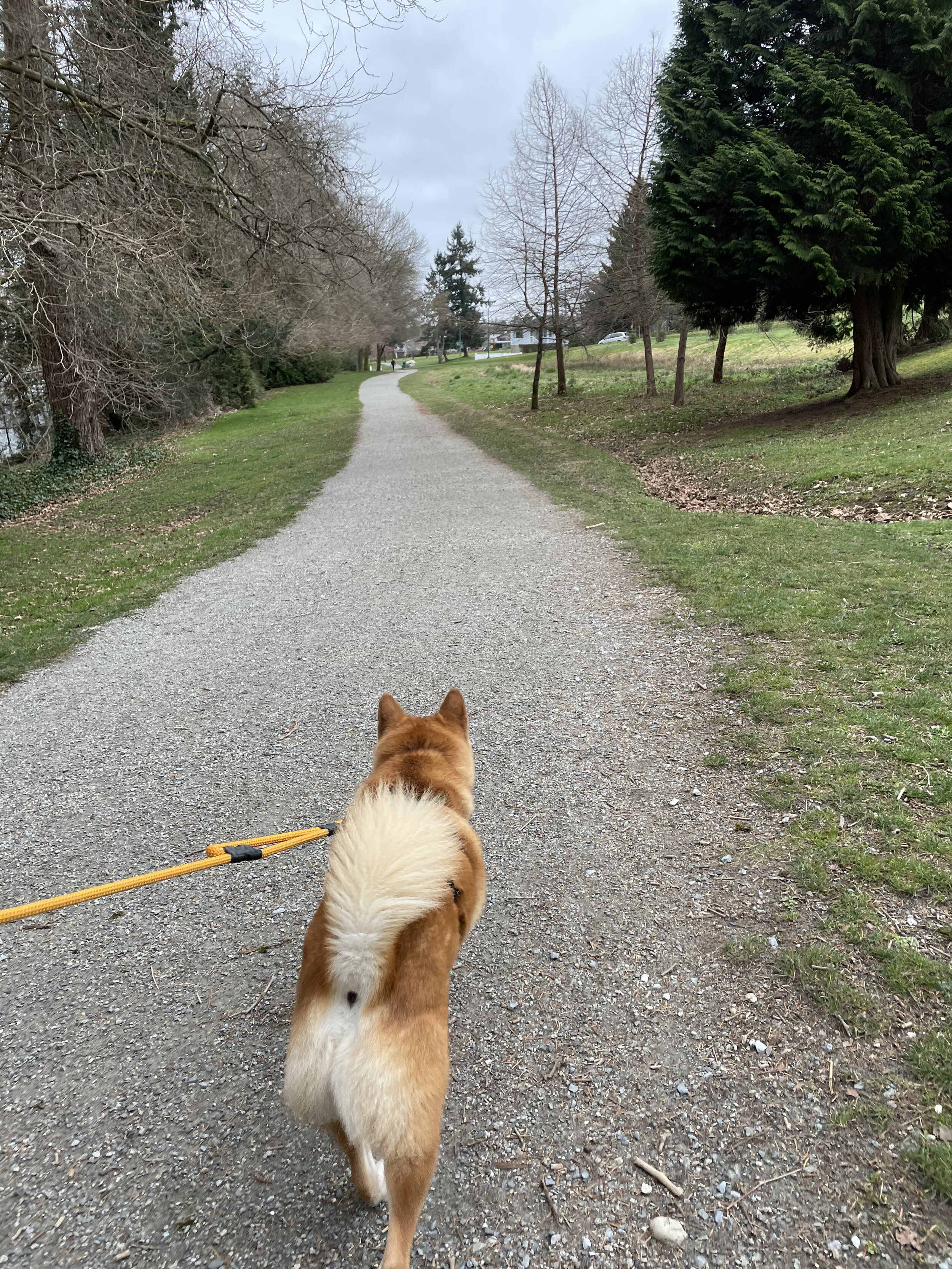 Markus walking along the path at Montrose Park