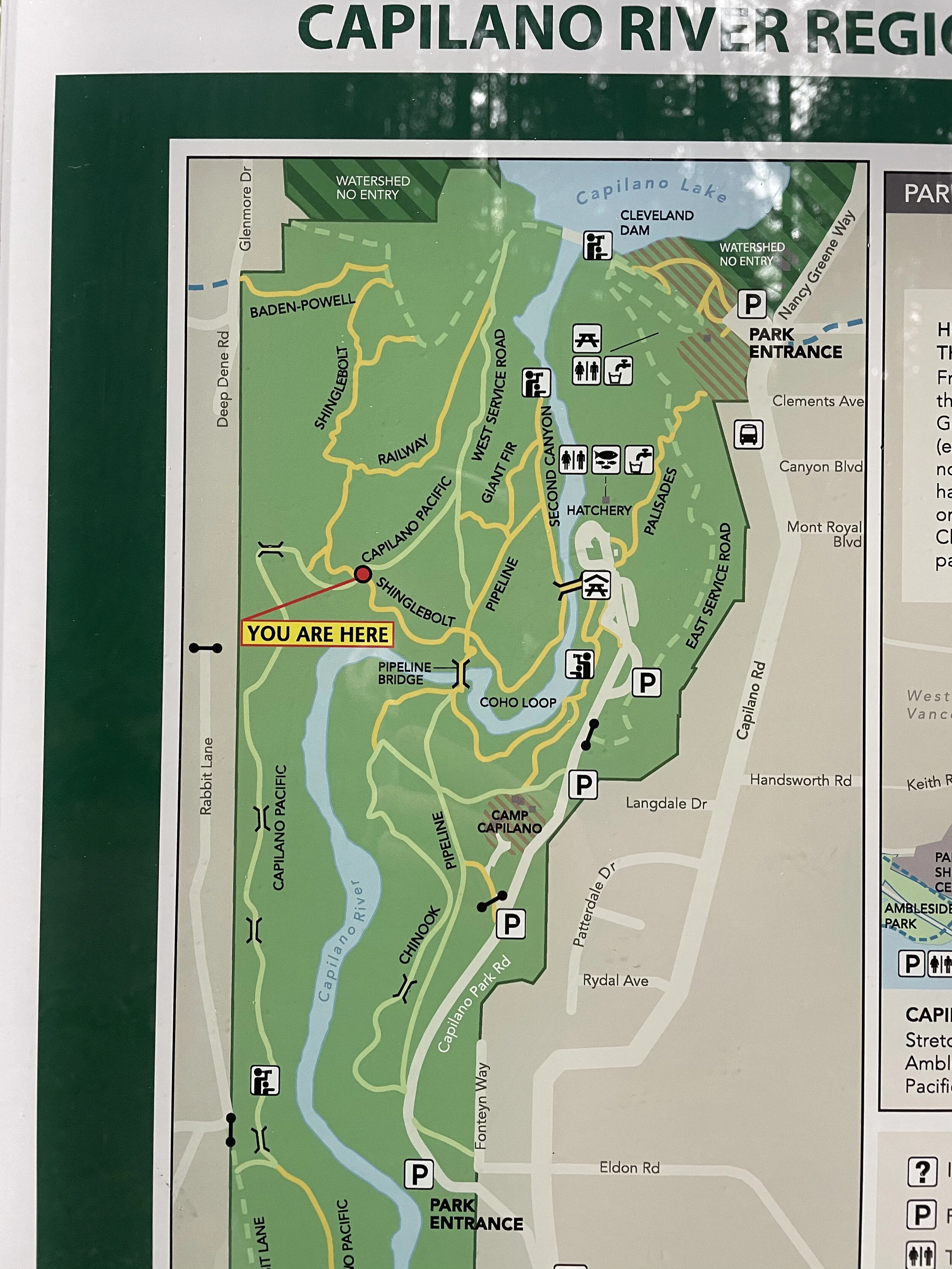 Photo of the map at Capilano River Regional Park. Yellow trails are the leash-required trails.