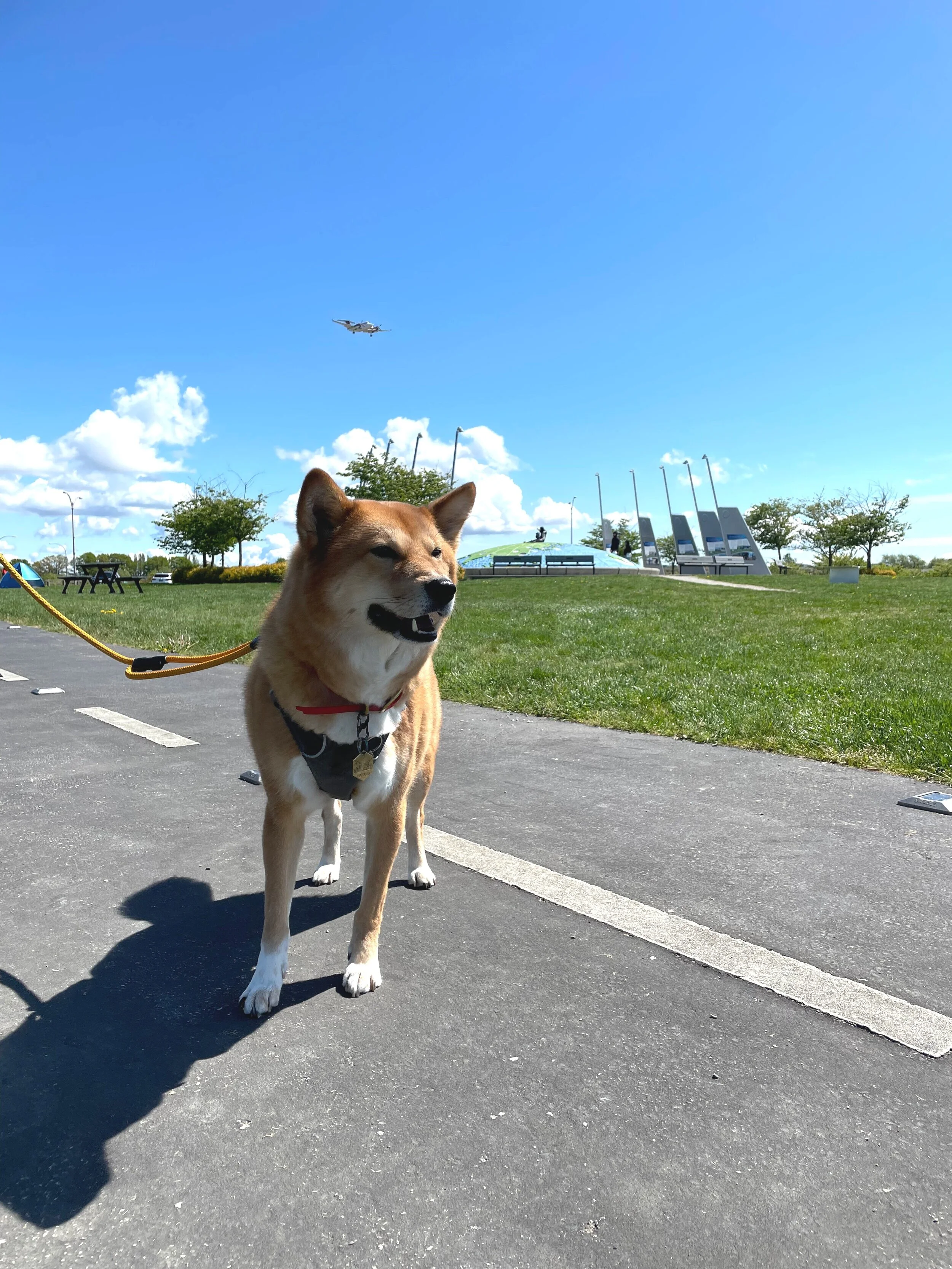 Markus standing on the runway with a plane flying overtop