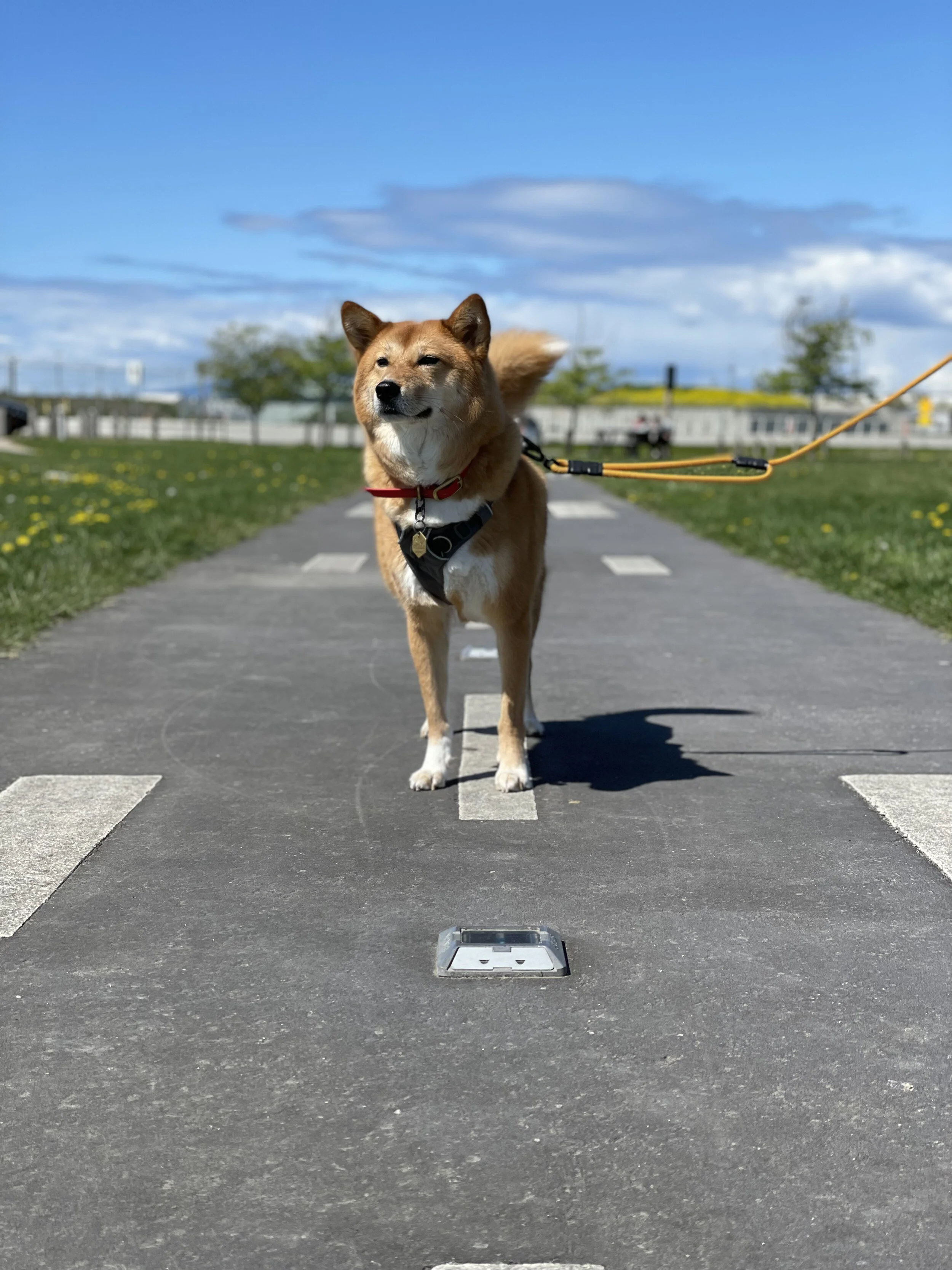 Markus posing along the mini runway at Flight Path Park