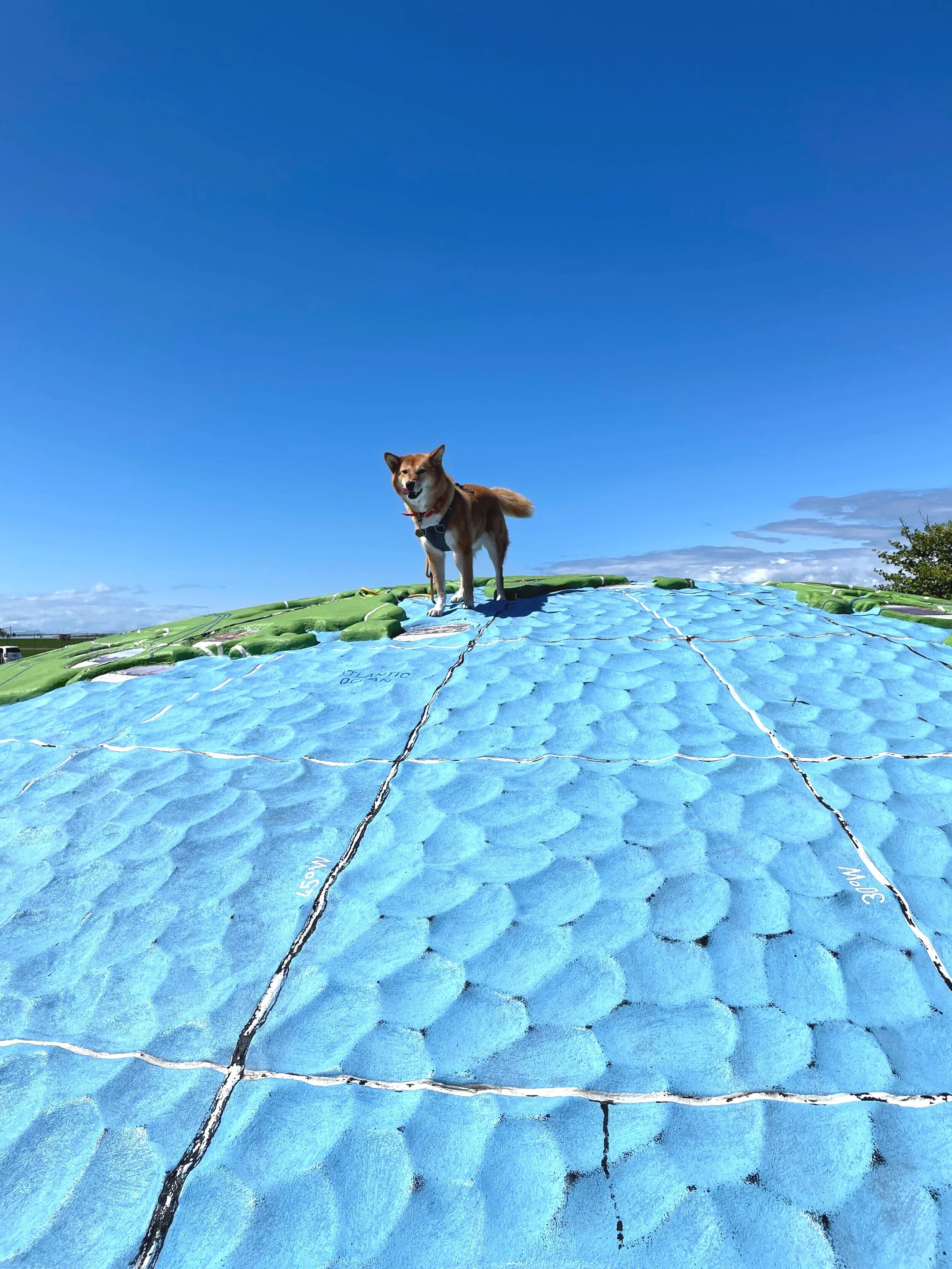 Markus standing on top of the world at the Flight Path Park in Richmond, BC