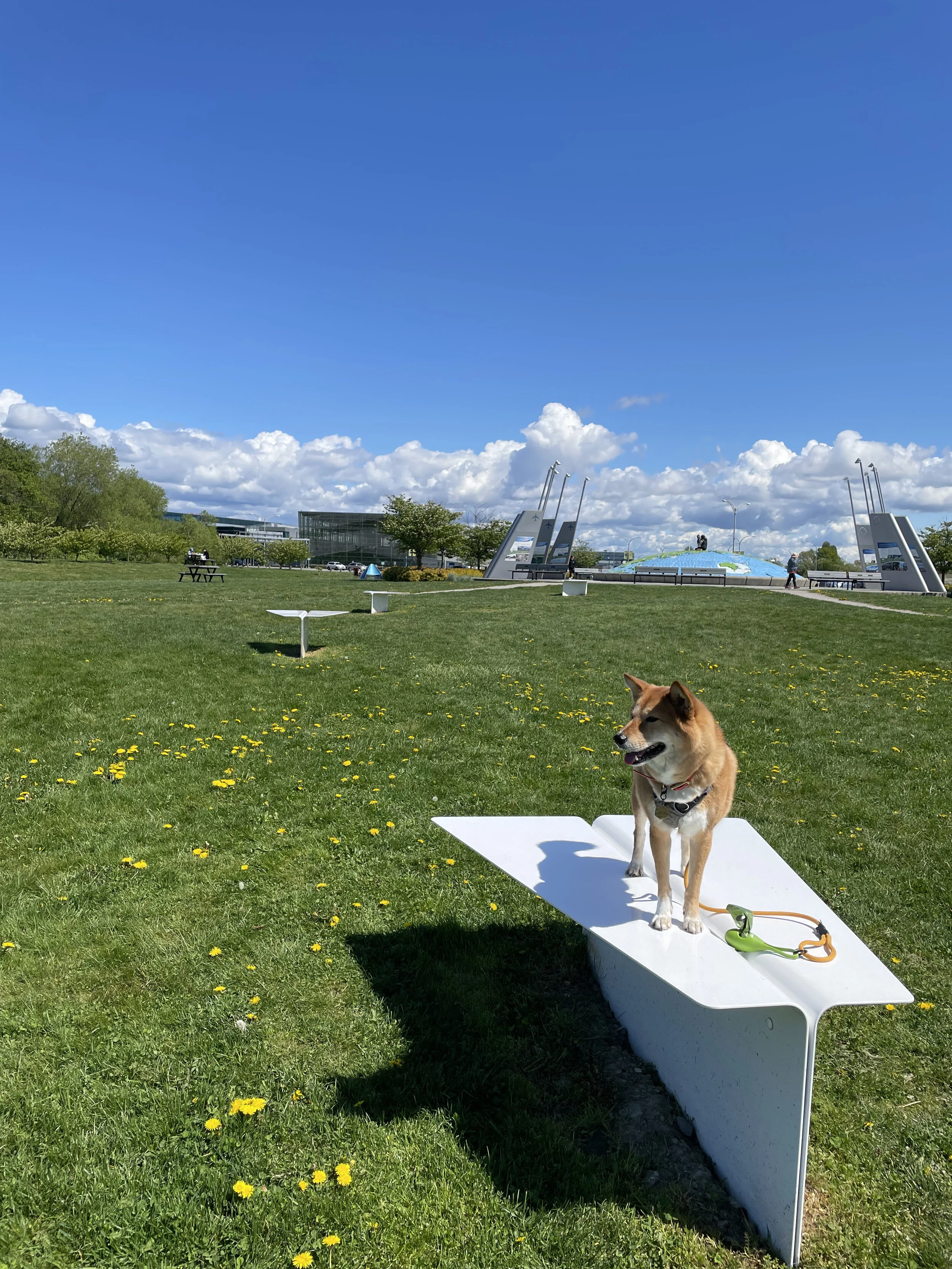 Markus trying to fly on one of the paper plane benches at Flight Path Park