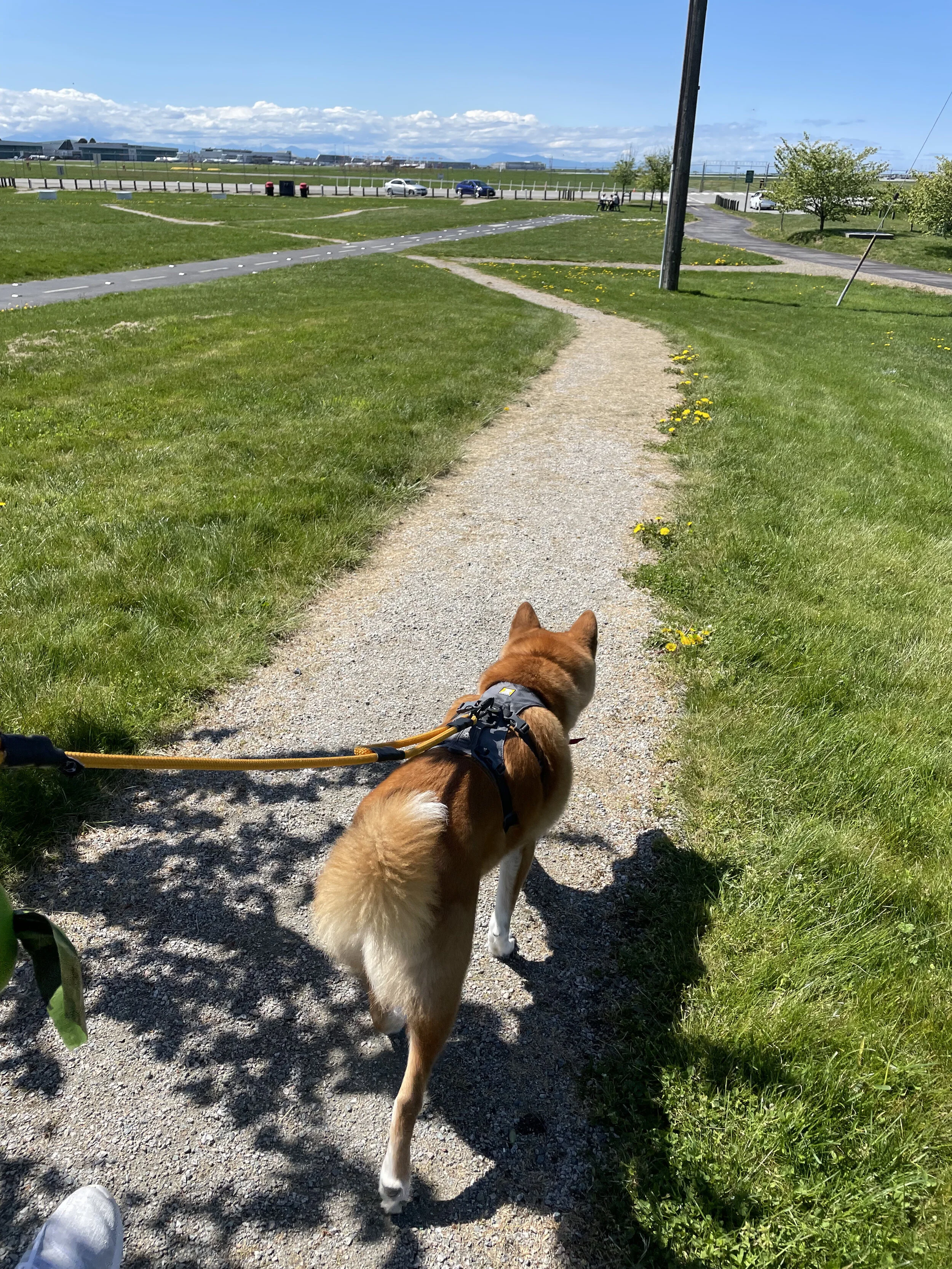 Markus walking along one of the short paths on Flight Path Park