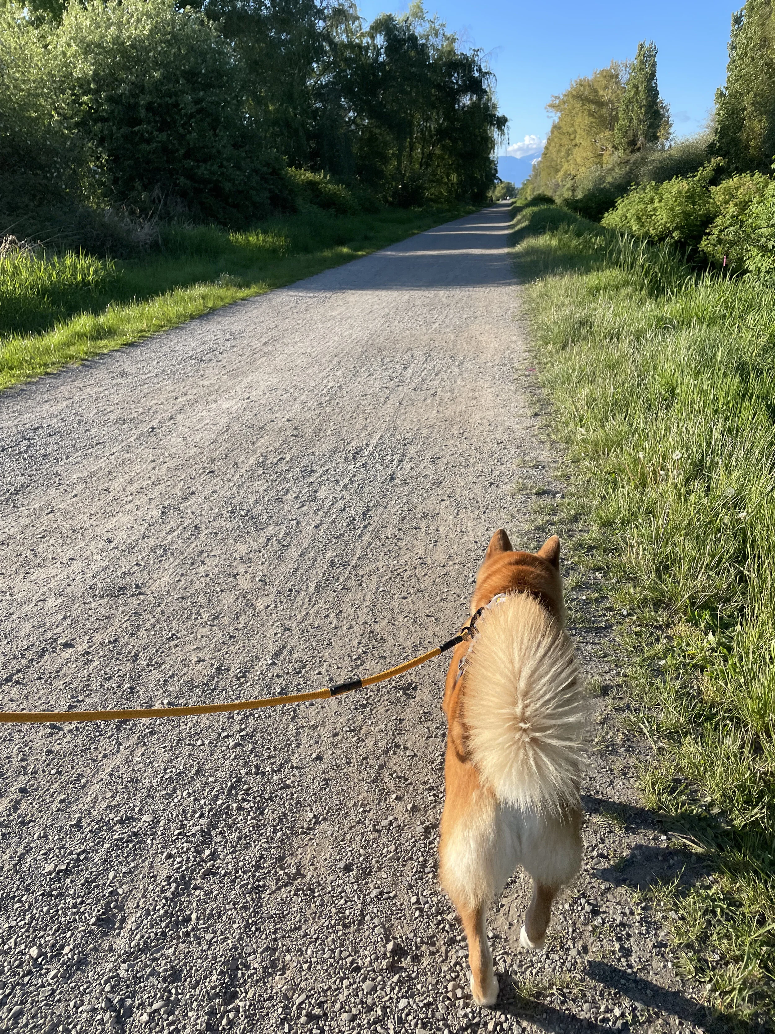 Markus walking along the quiet and slightly dusty West Dyke Trail