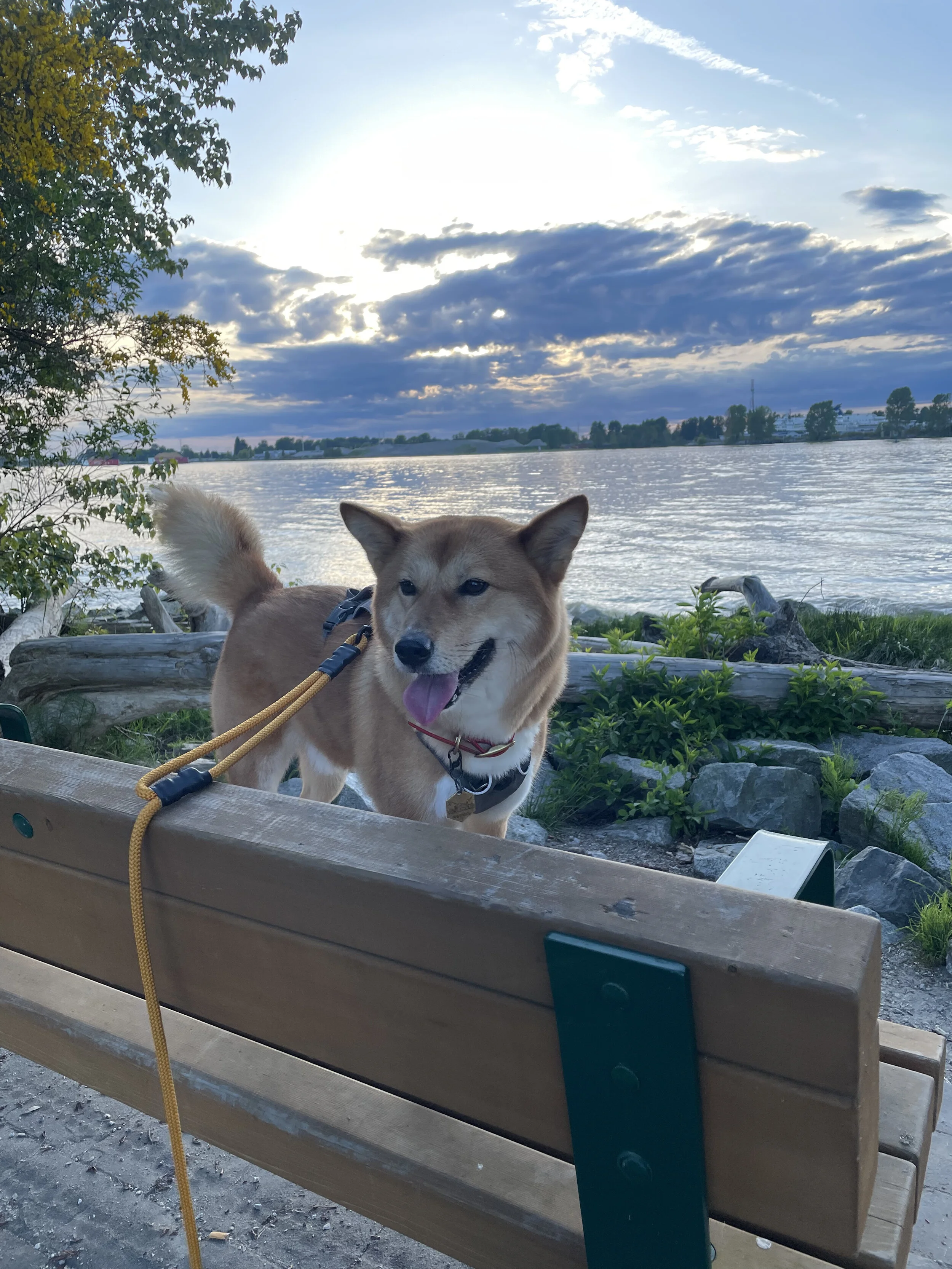 Markus stopping by the view along the Island Tip Trail