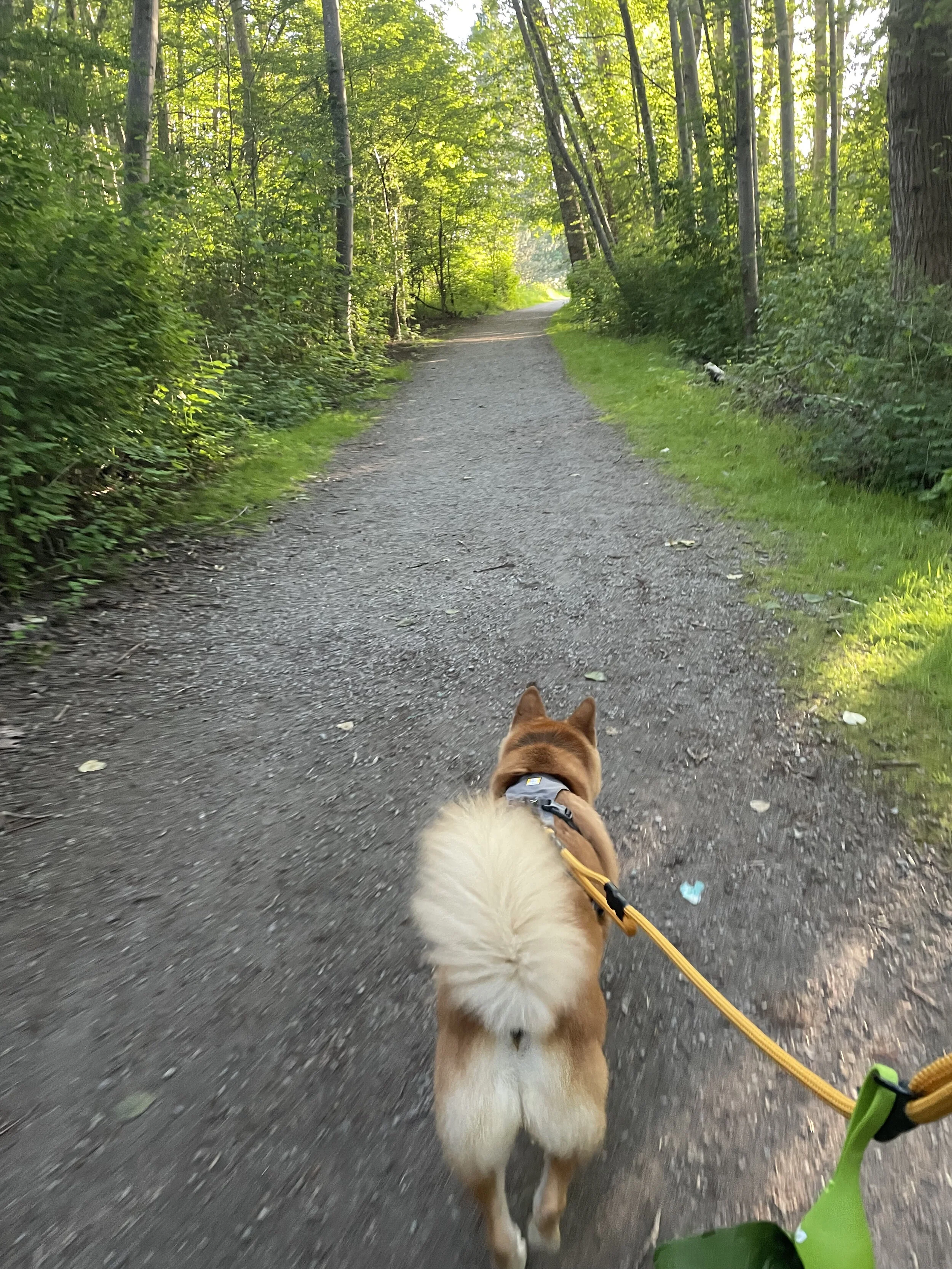 Markus walking along the Island Tip Trail