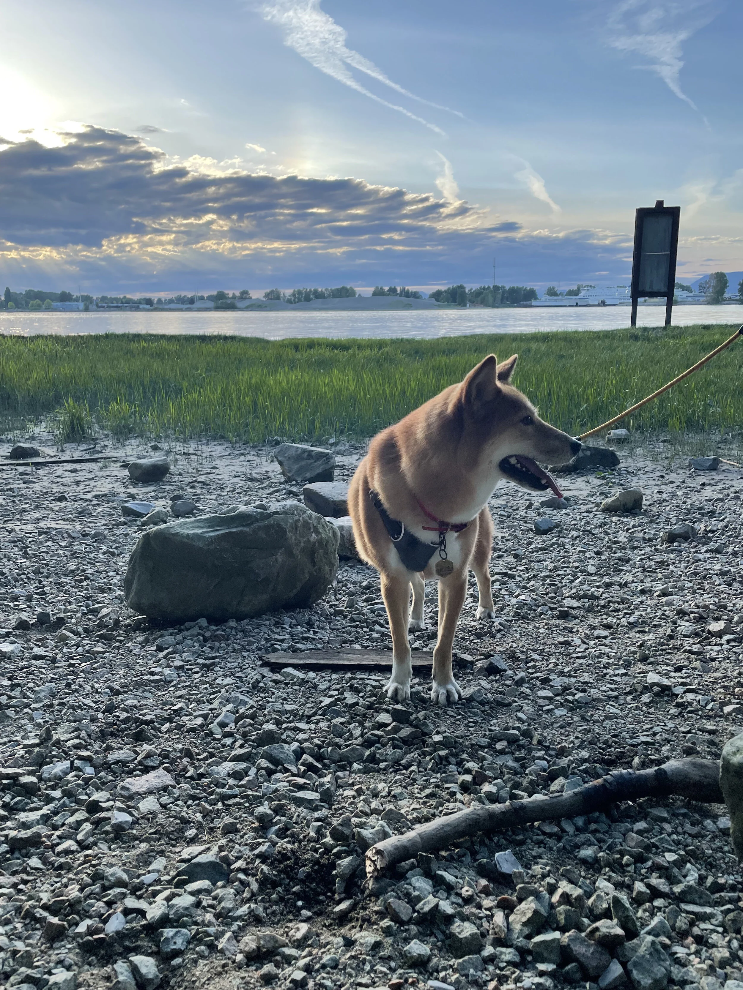 Markus taking a breather to enjoy the sunset by the beach at the end of the Island Tip Trail