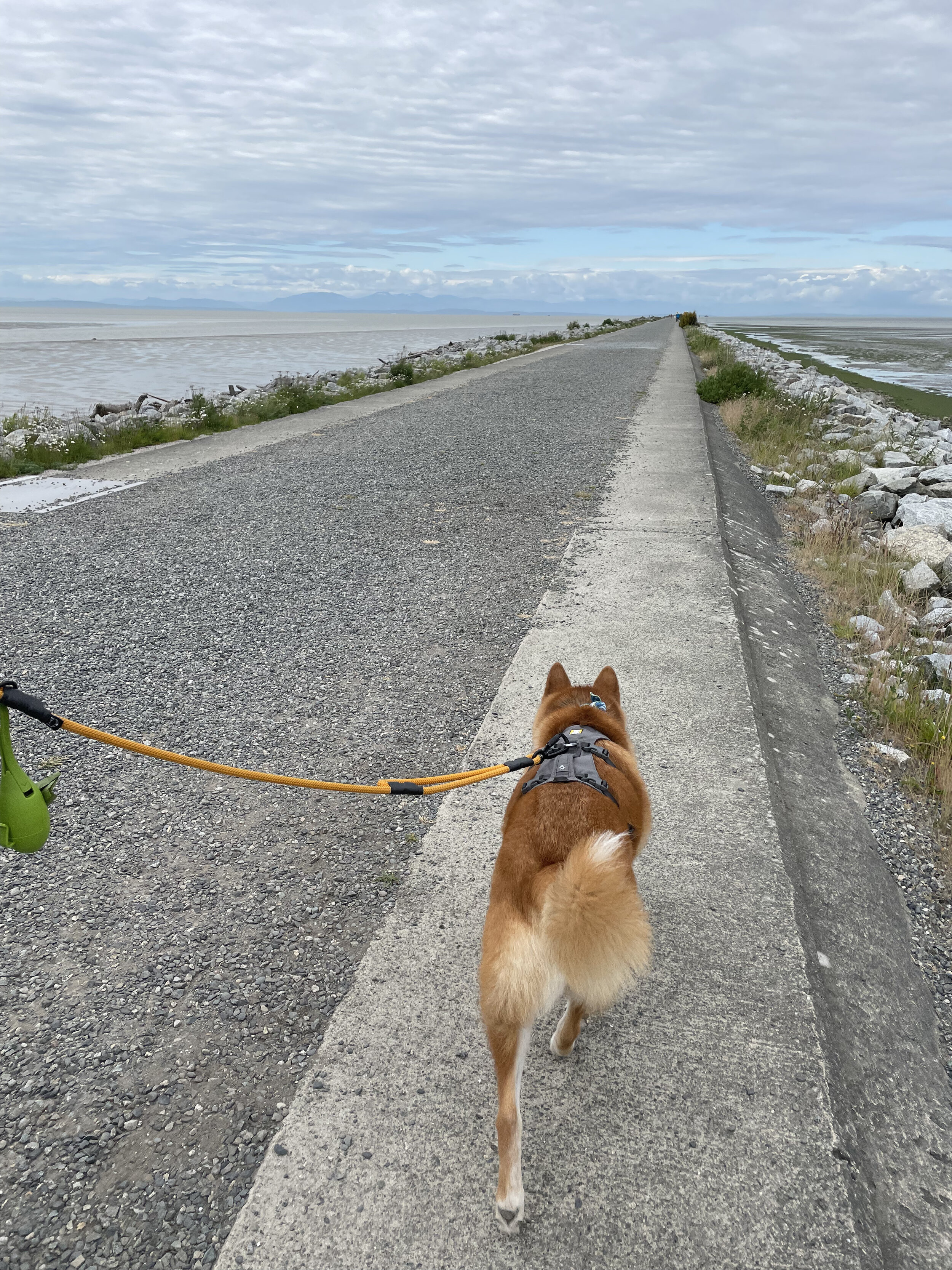 Markus traveling along the flatter area of the upper path along the Iona Jetty
