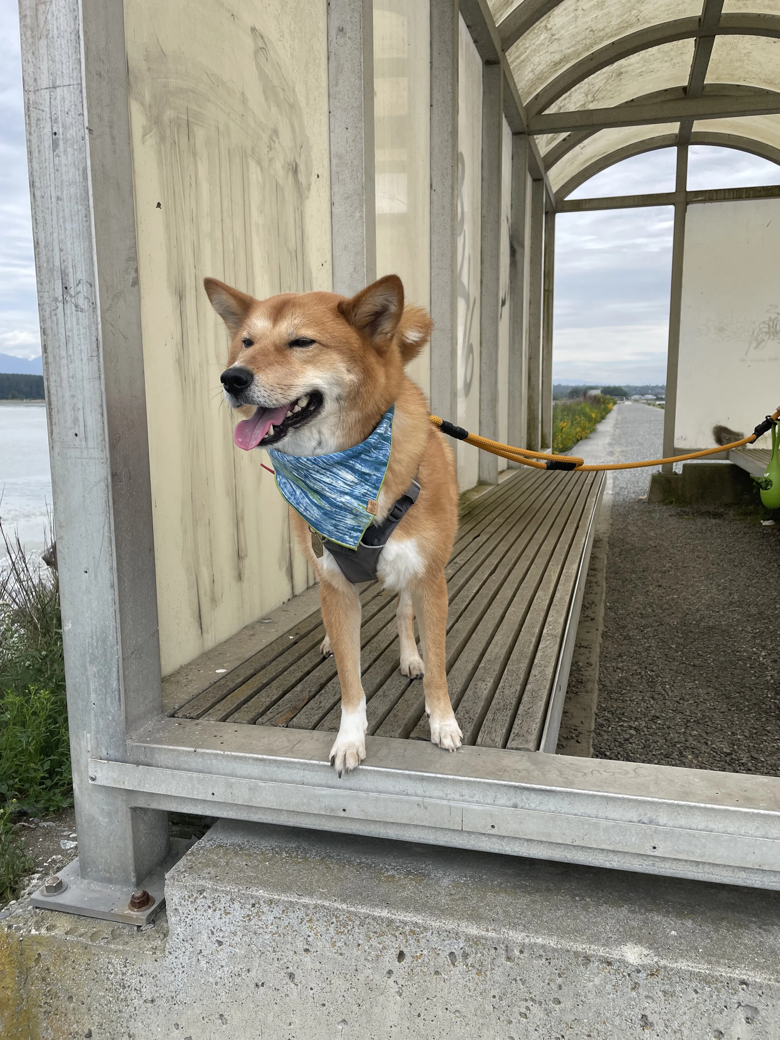 Markus posing at one of the two covered areas on the Iona Jetty