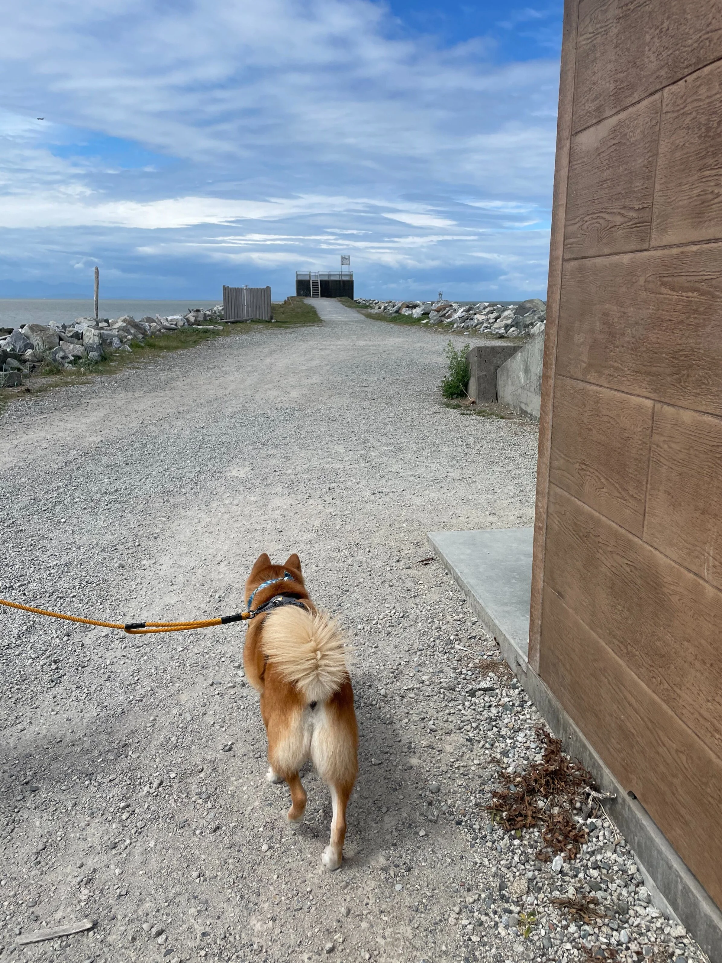 Markus walking around the outhouse and towards the lookout at the end of the jetty