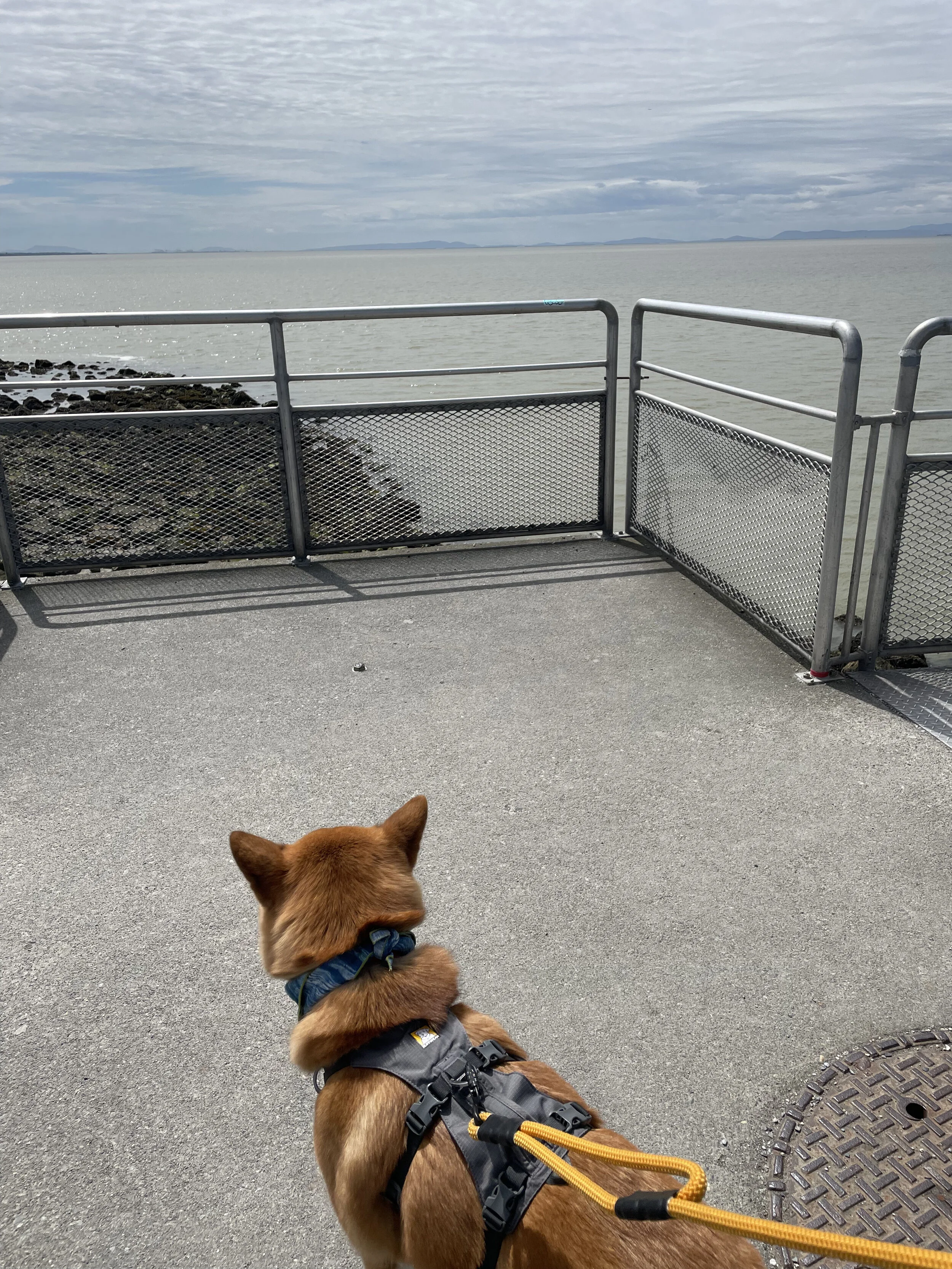 Markus enjoying the view at the top of the lookout at the end of the Iona Jetty