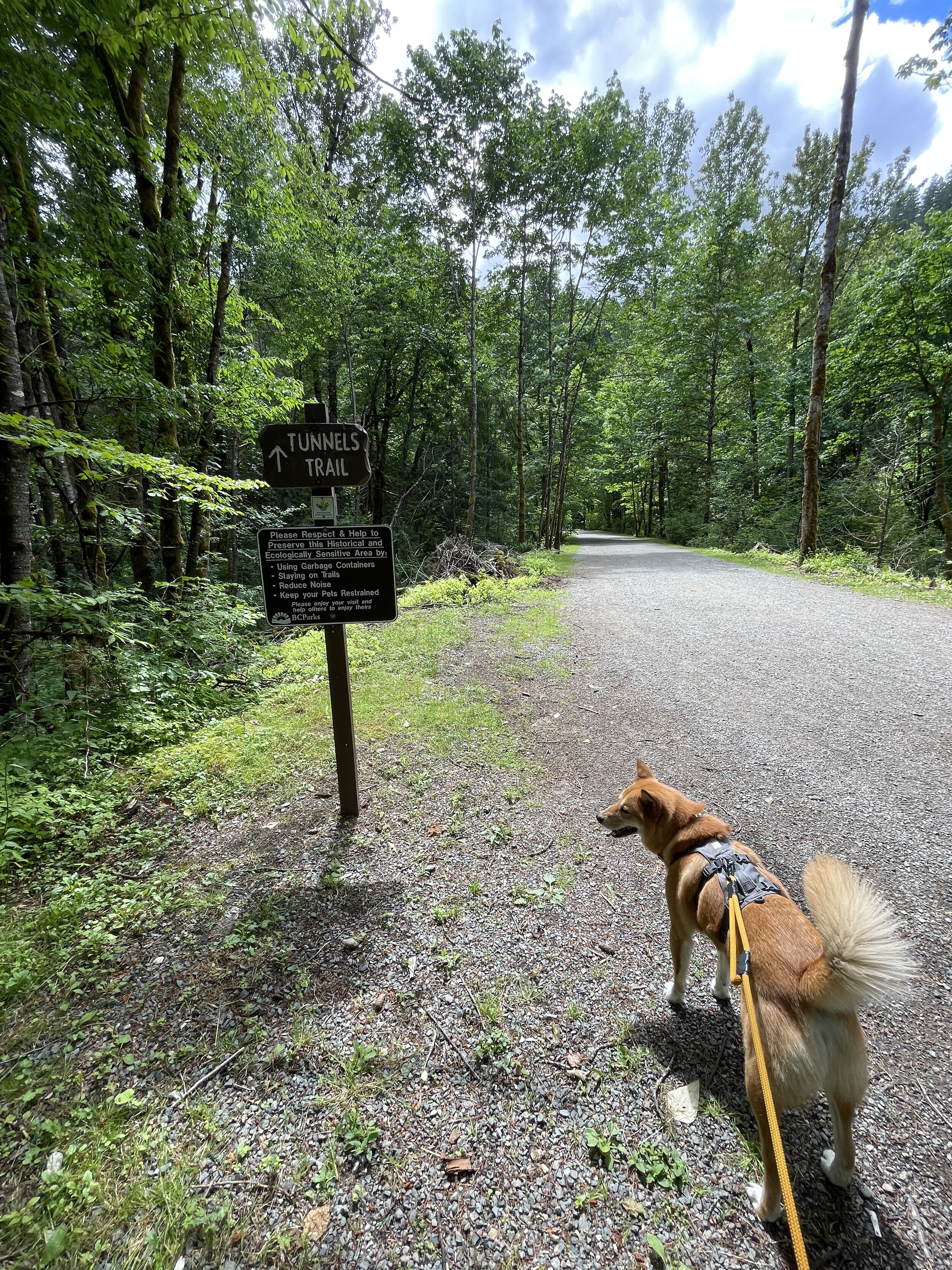 Markus following the trail and the signs at the Othello Tunnels