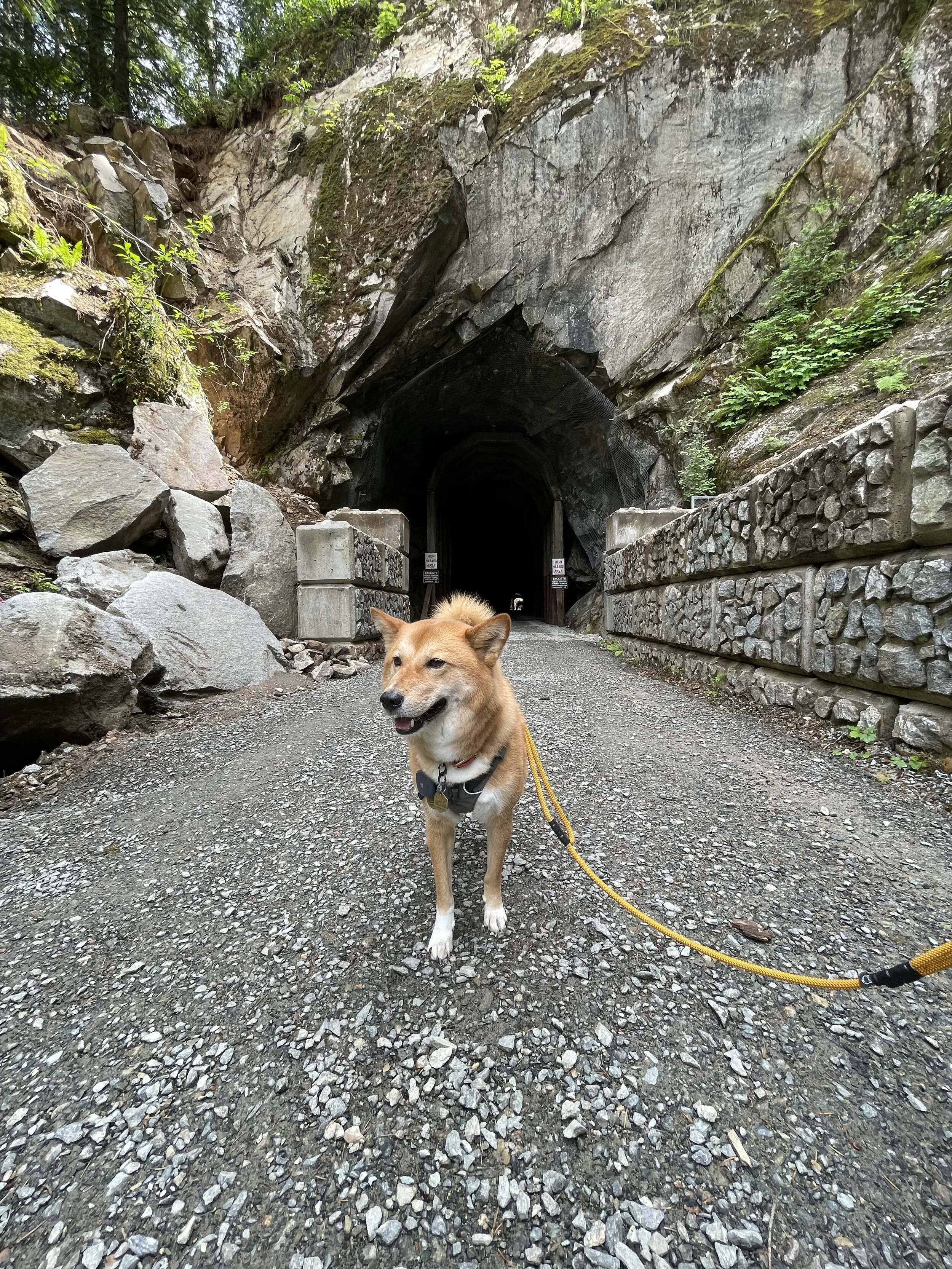 Markus deciding if he wants to go into the Othello Tunnels