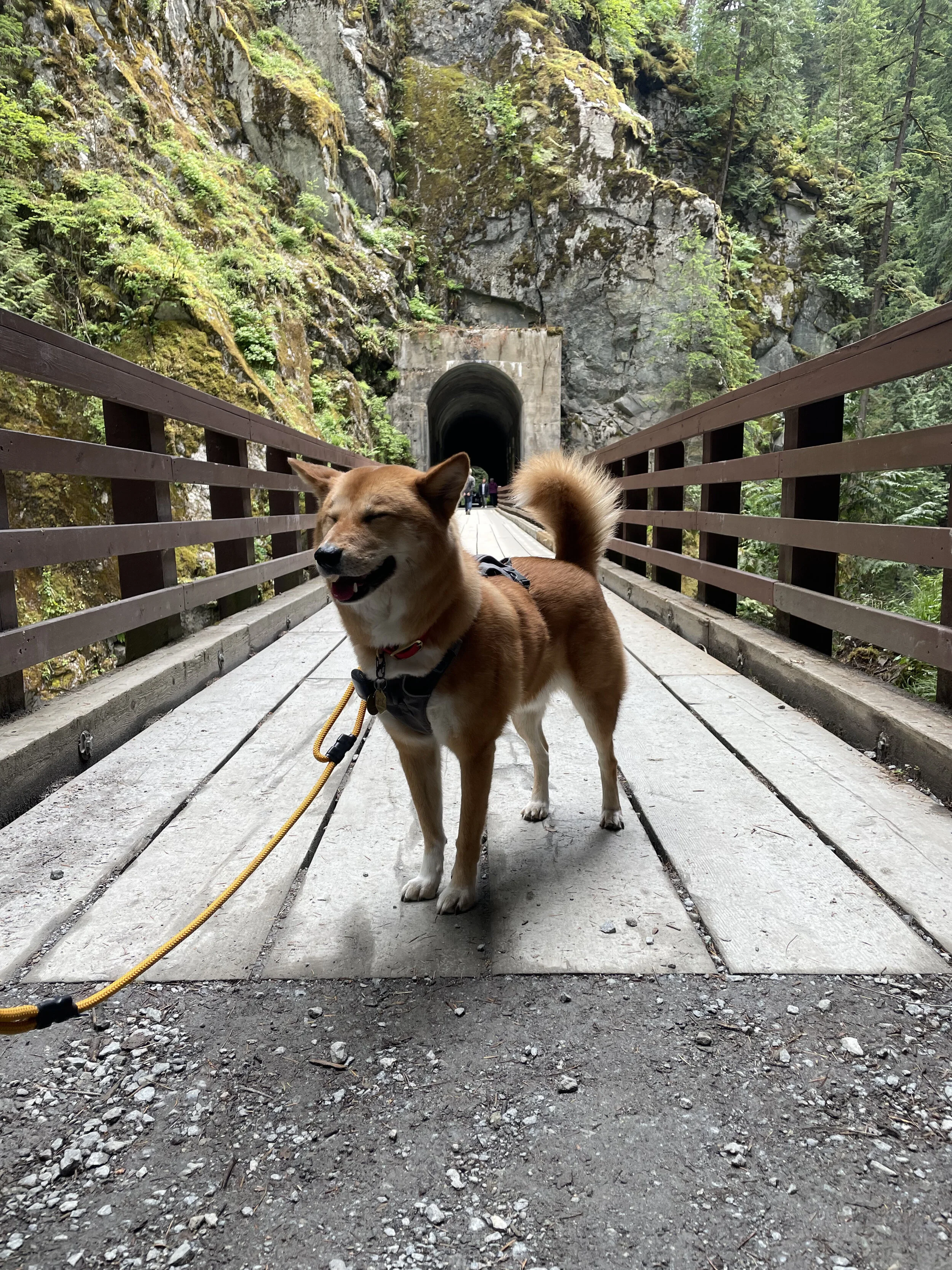 Markus happy he got through the first set of tunnels