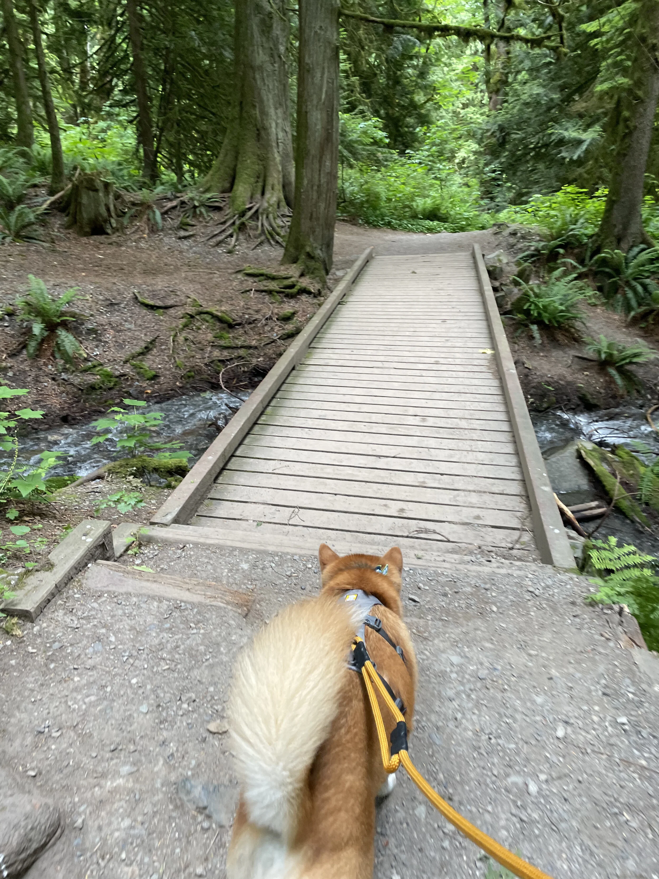 Markus crossing the bridge to Bridal Veil Falls