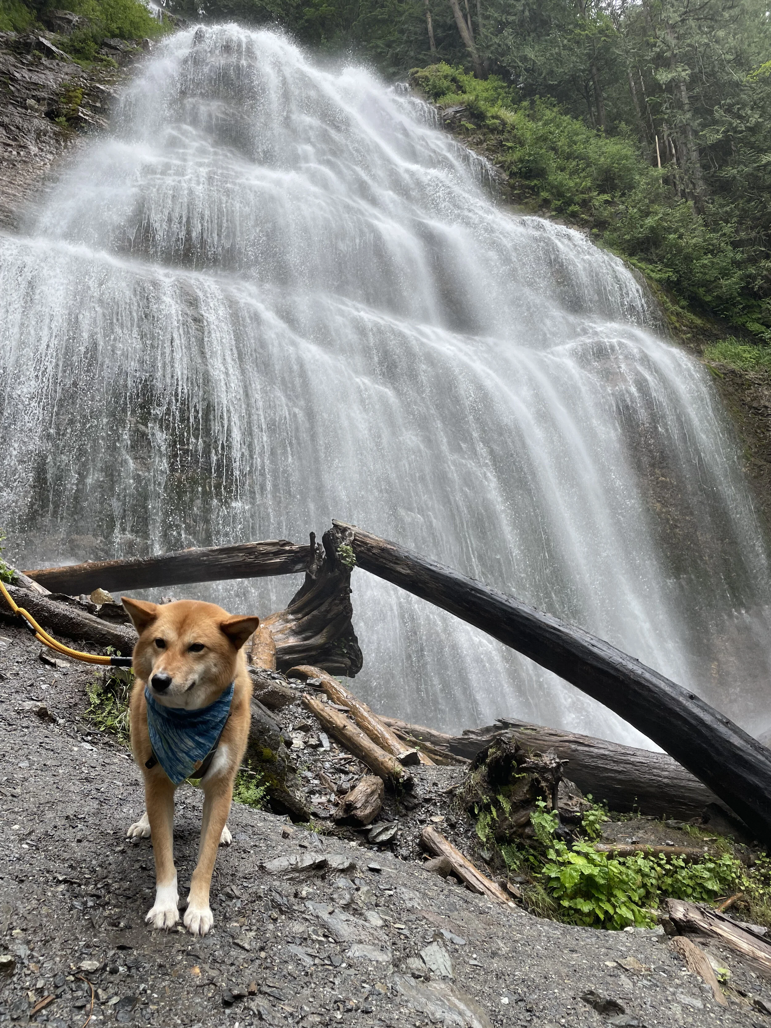 Markus posing at the base of Bridal Veil Falls