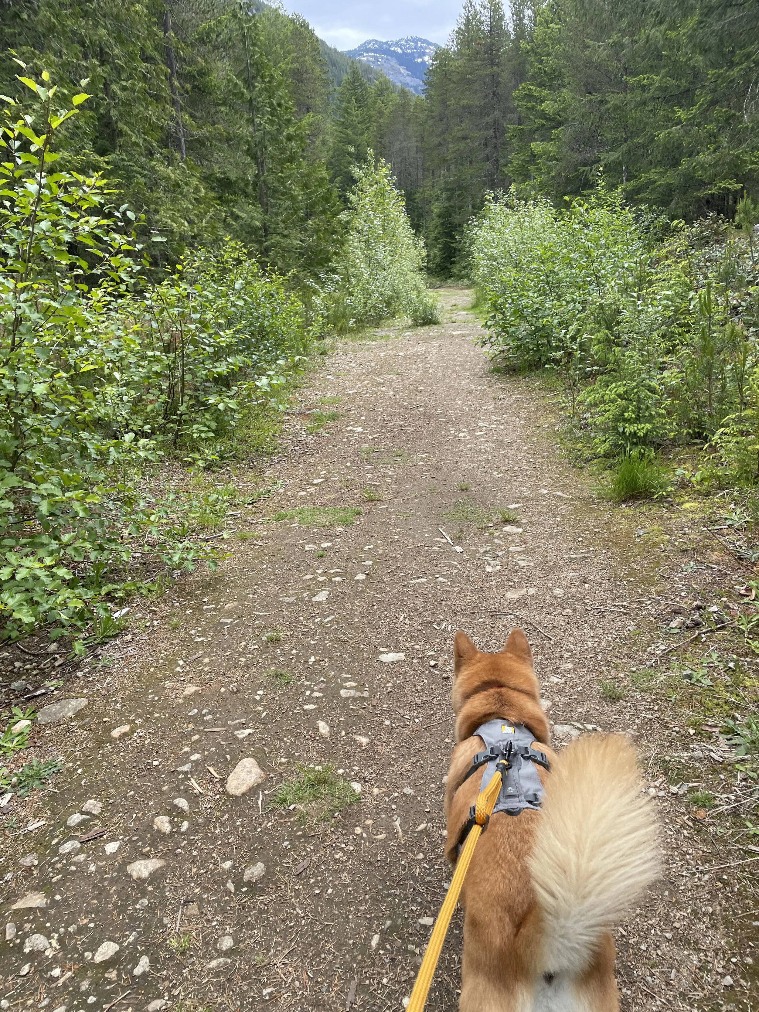 Markus walking along the beginning path at Bosuemarne Falls