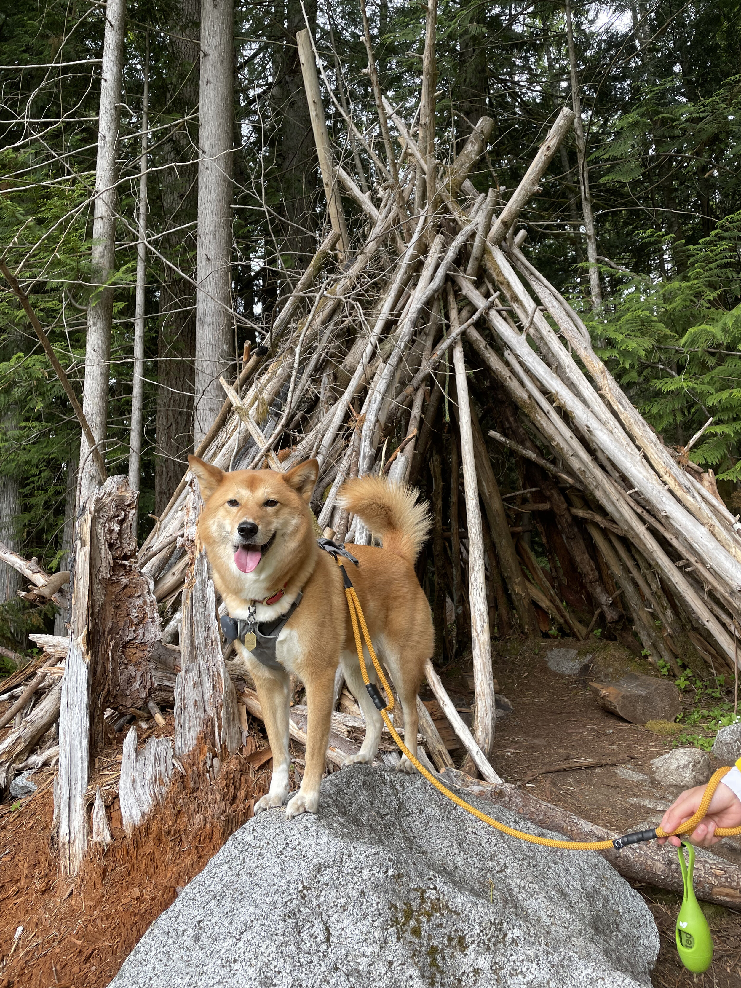 Markus finding the teepee landmark at Bosuemarne Falls