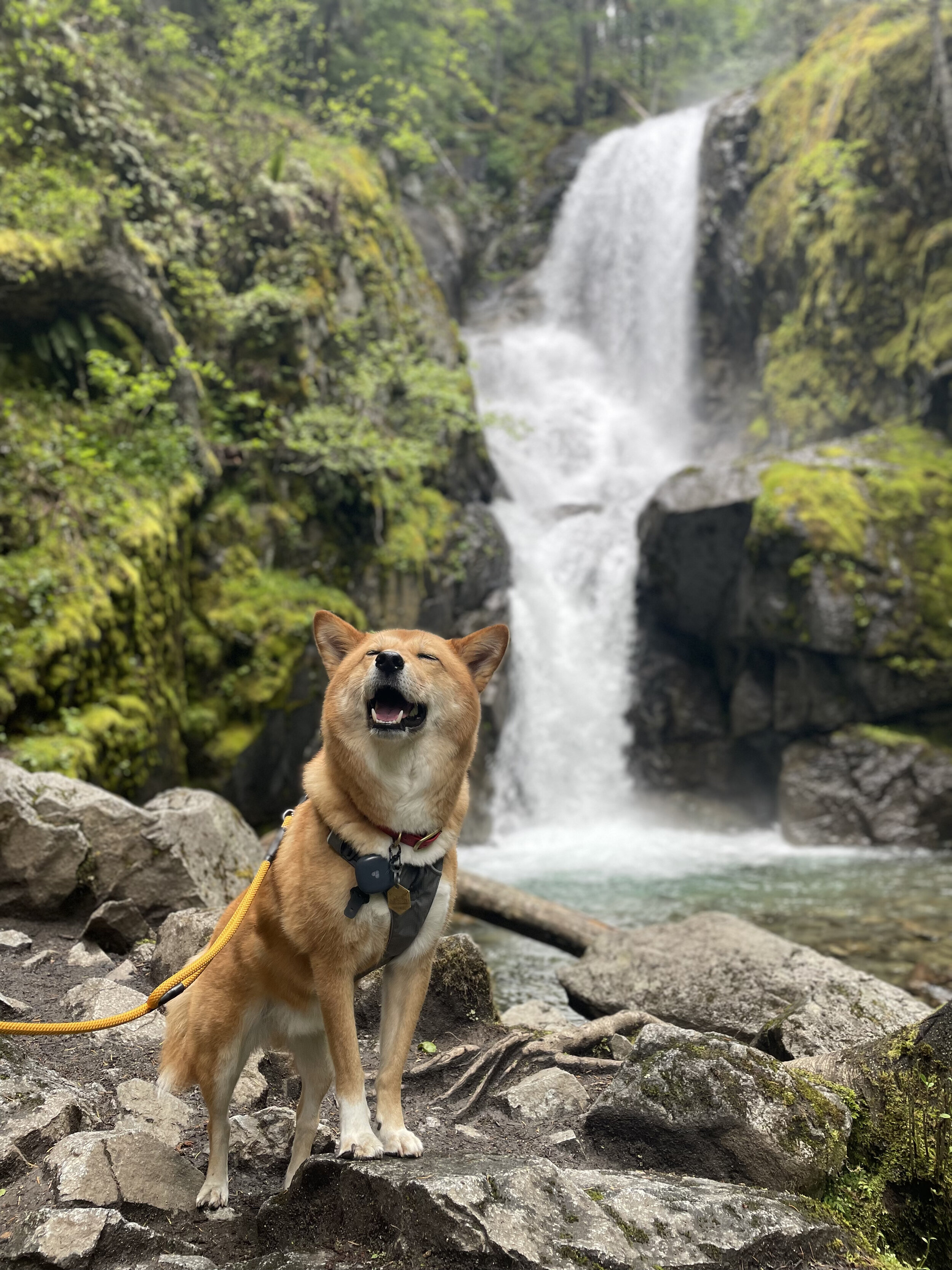 Markus finding sweet serenity at the base of Bosuemarne Falls