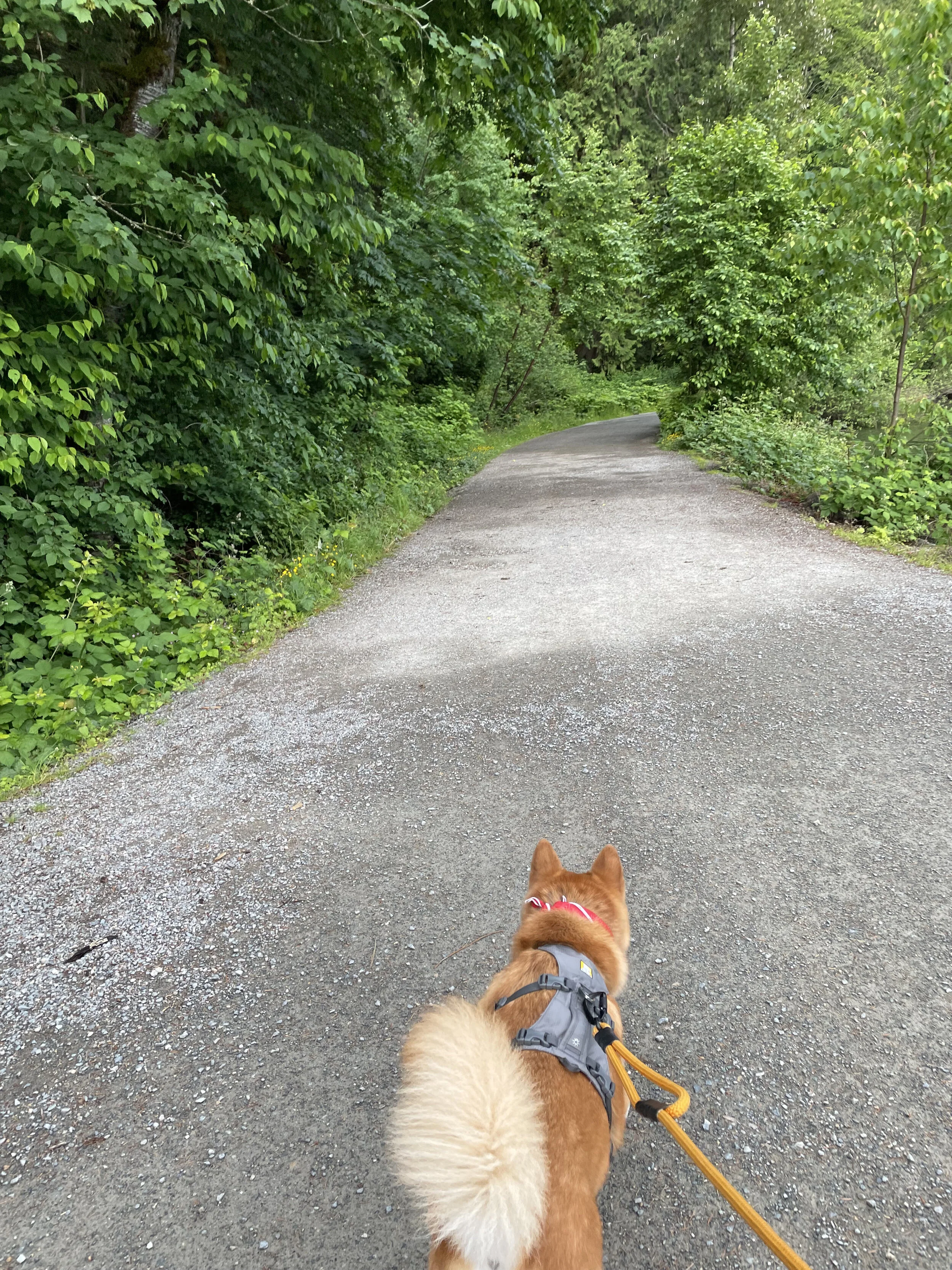 Markus following the path towards the base of the Whippoorwill Point Trail