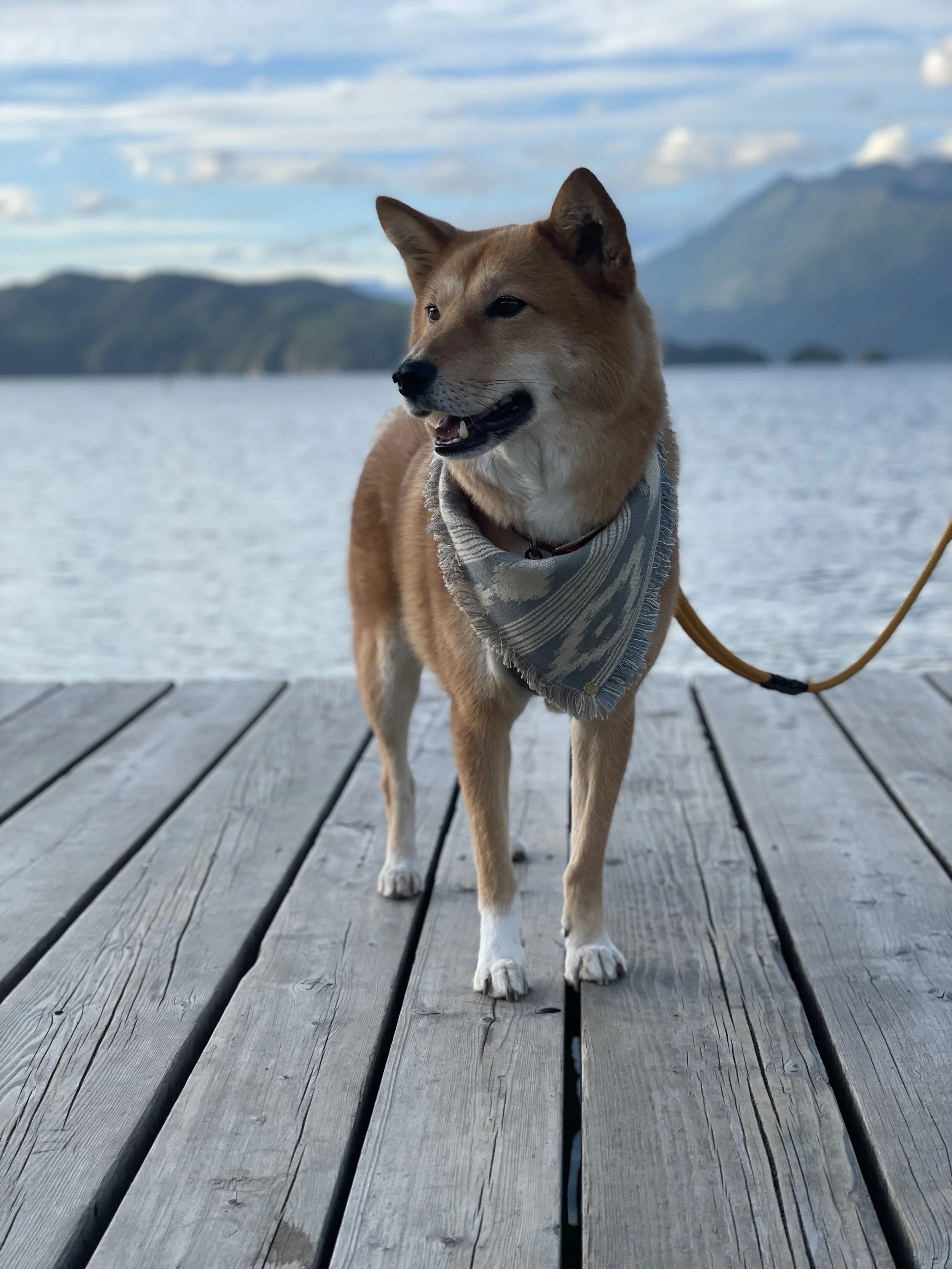 Markus posing at the end of the iconic dock at Harrison Hot Springs