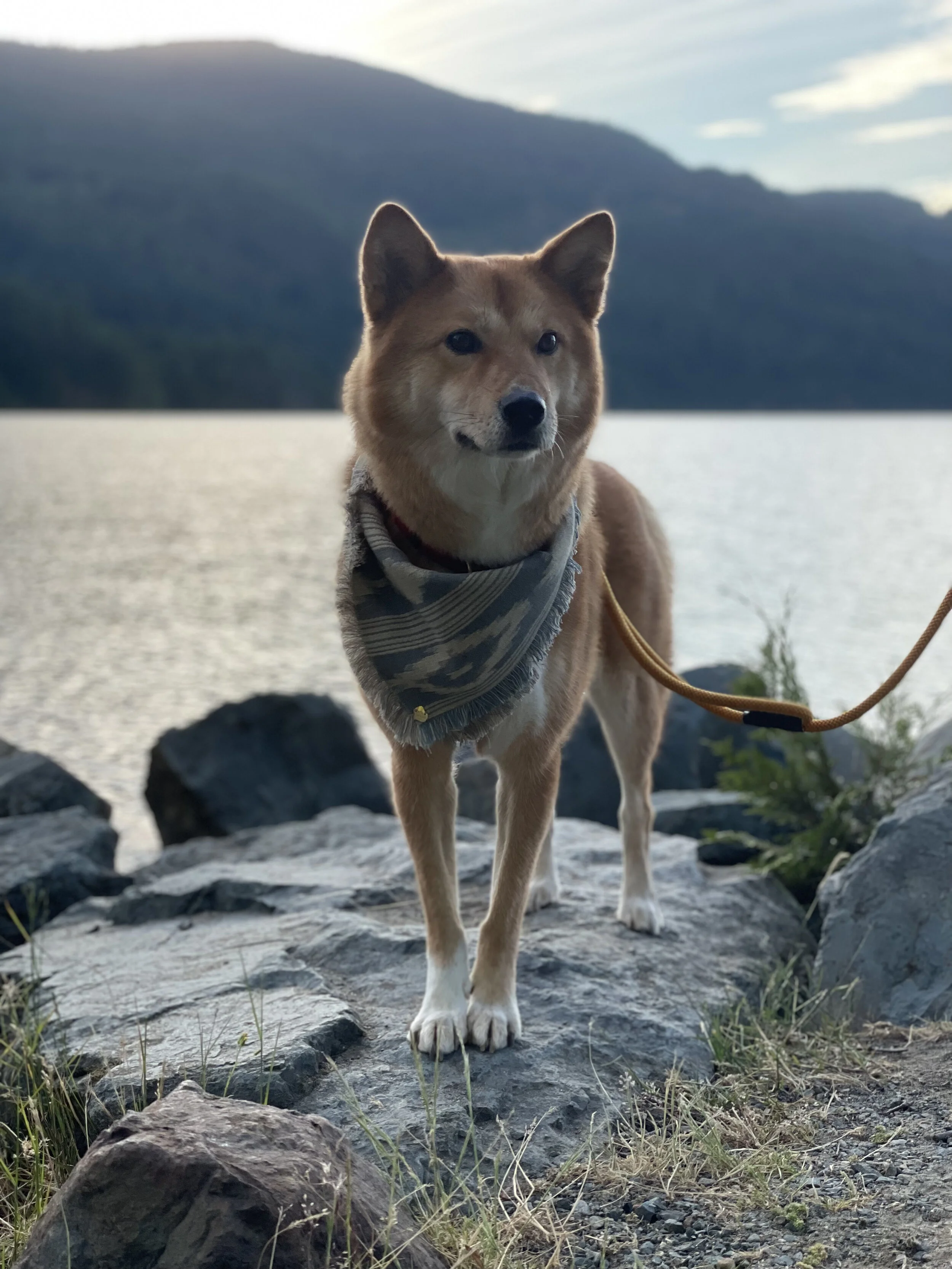 Markus enjoying the lake at Harrison Hot Springs