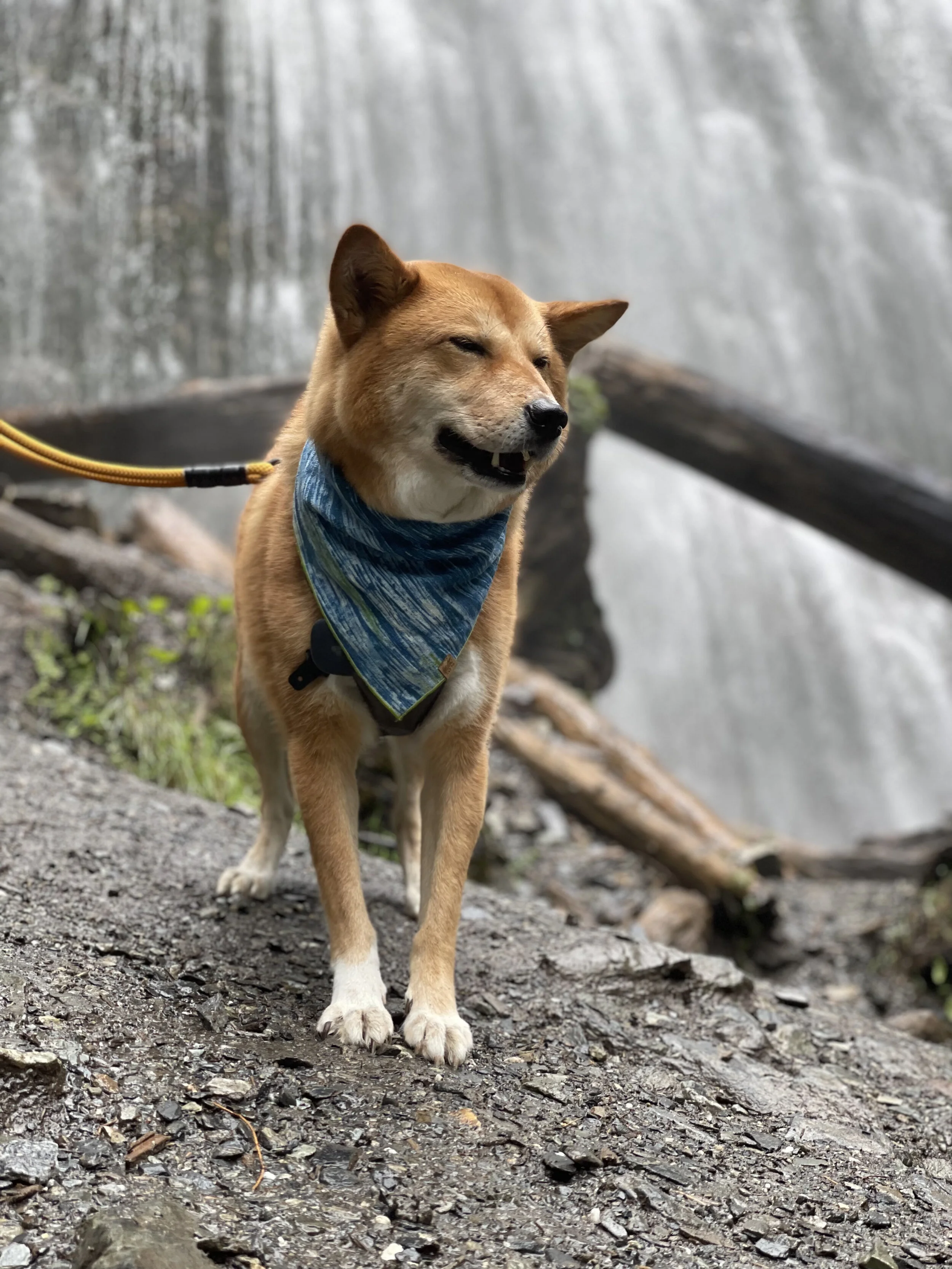 Markus posing at the base of Bridal Veil Falls