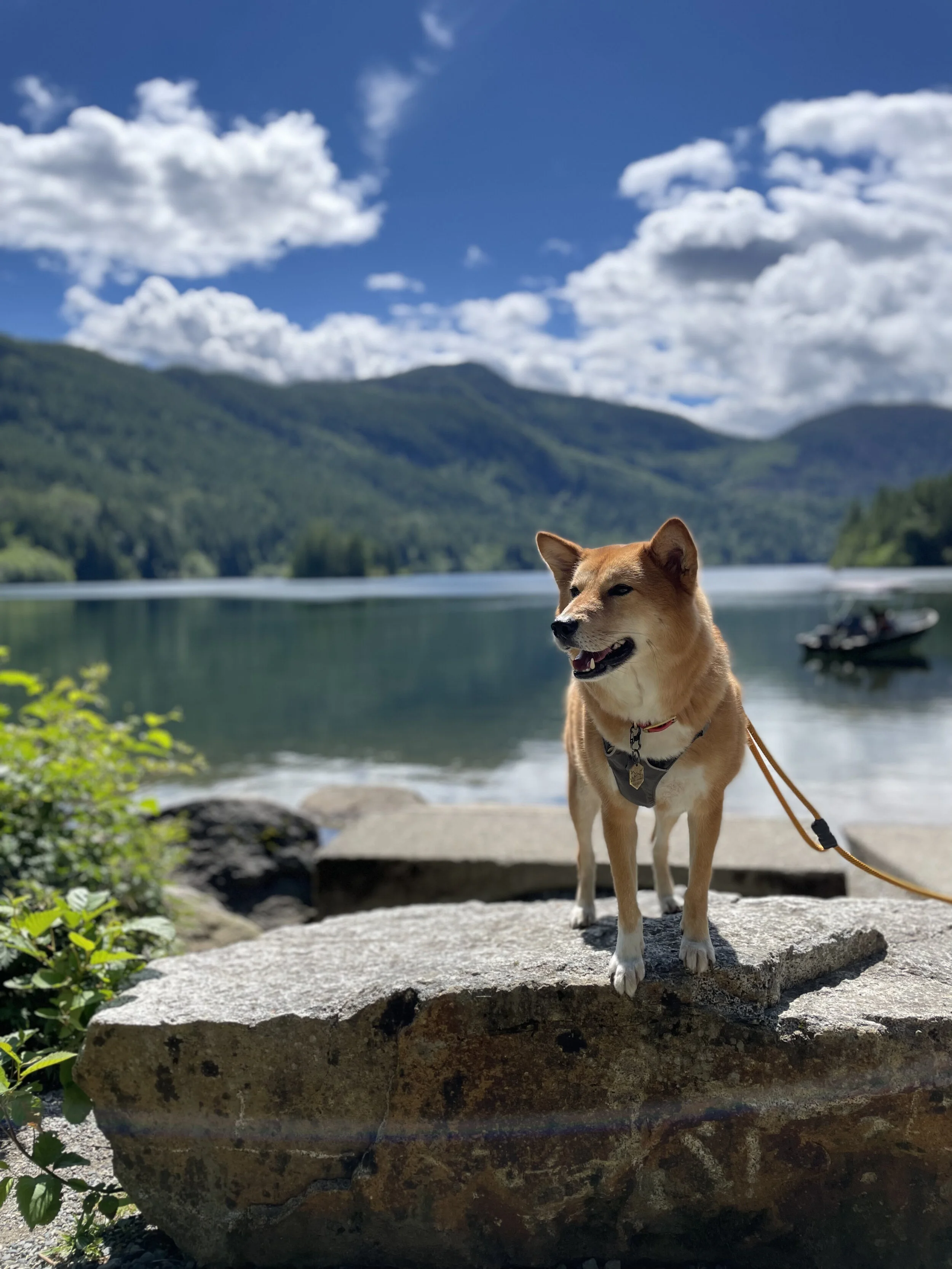 Markus enjoying the sunshine by the boat launch by Hicks Lake