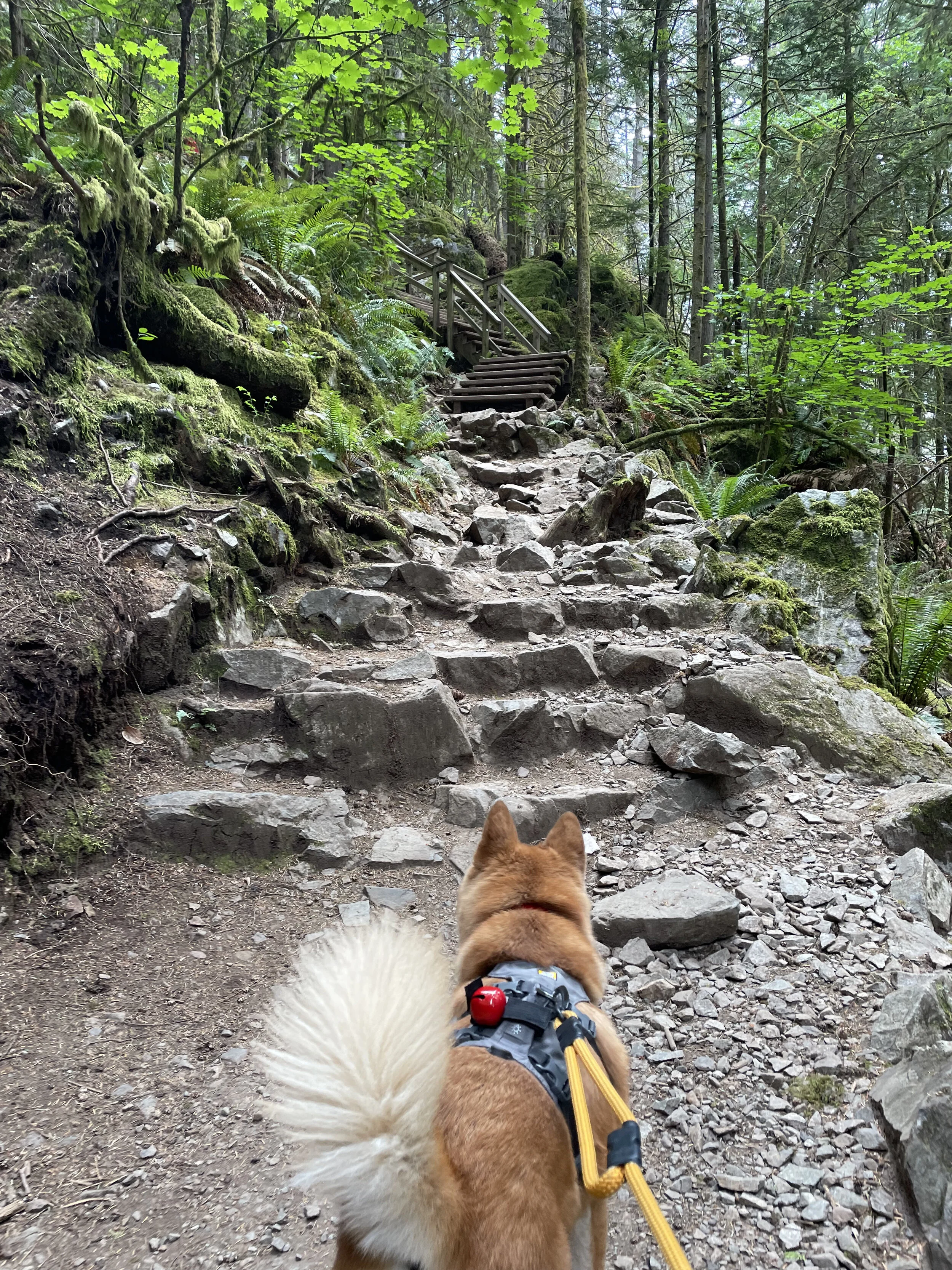 Markus scaling up the uneven areas along Jug Island Trail