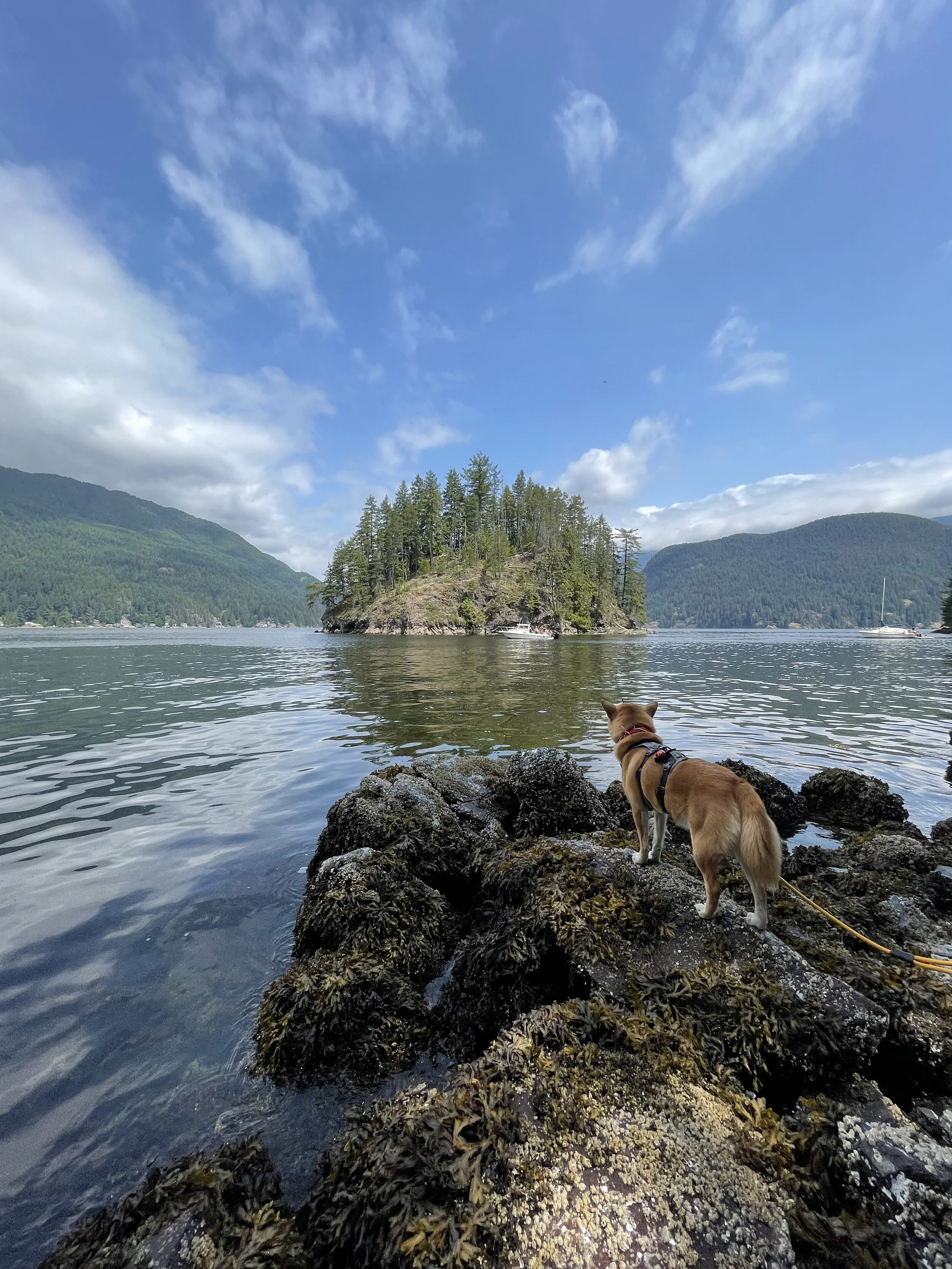 Markus on the edge of the beach looking at Jug Island